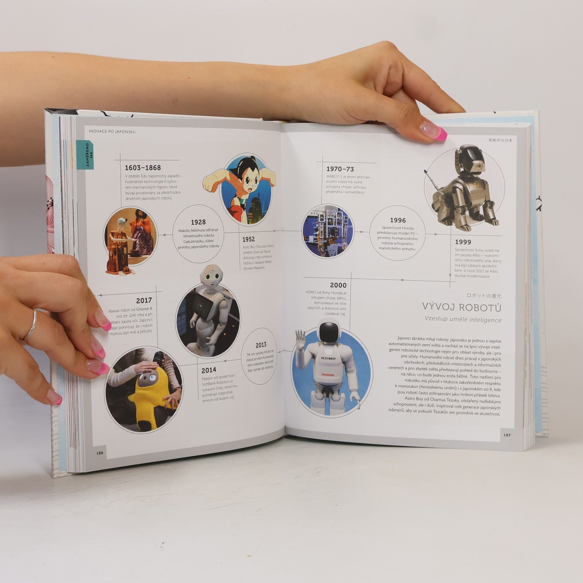 Autores varios Japonsko plnými doušky