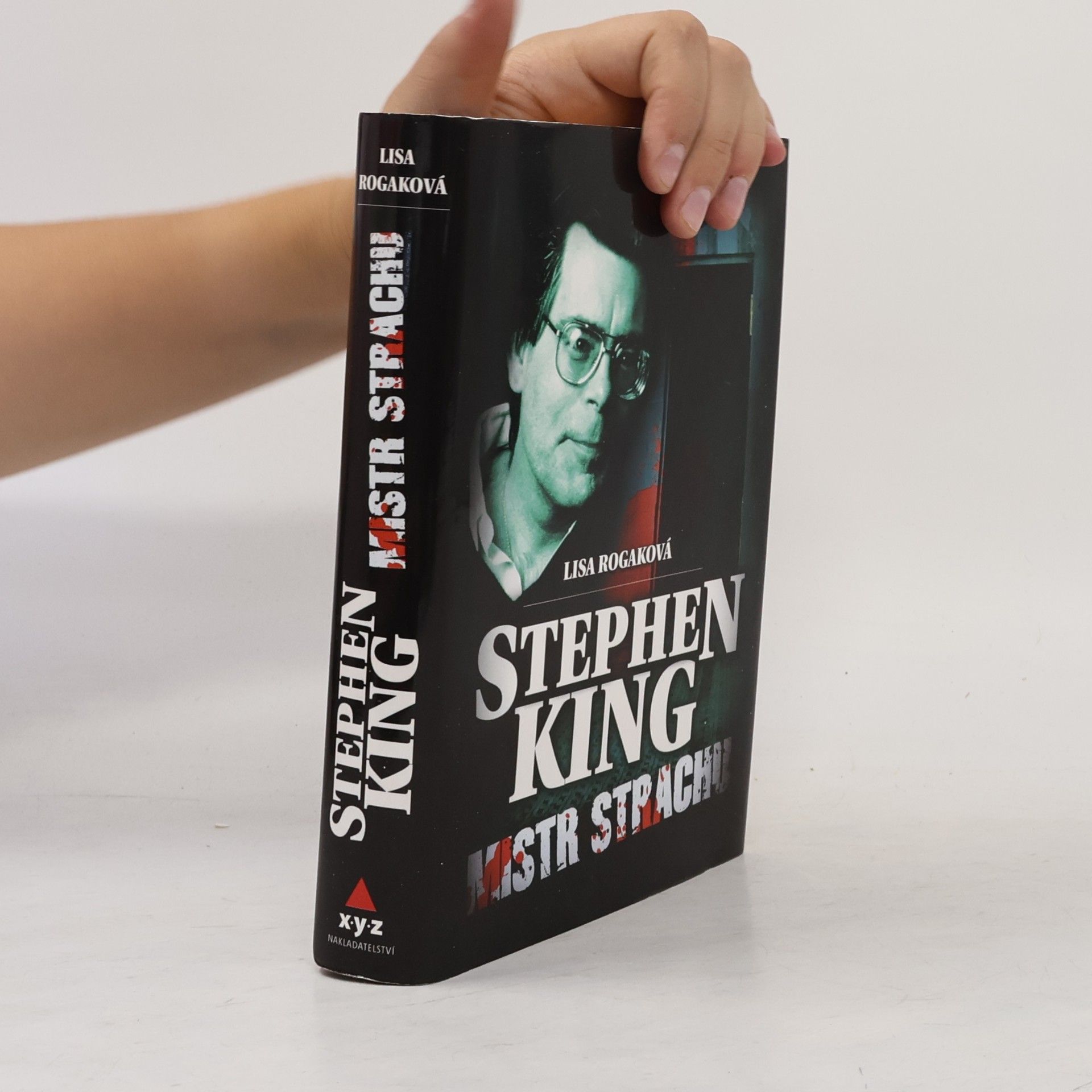 Stephen King. Mistr strachu