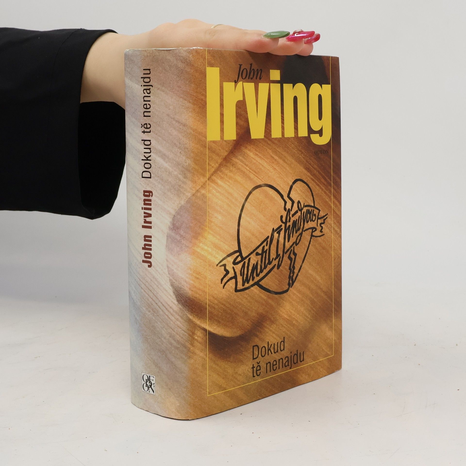 John Irving Dokud tě nenajdu