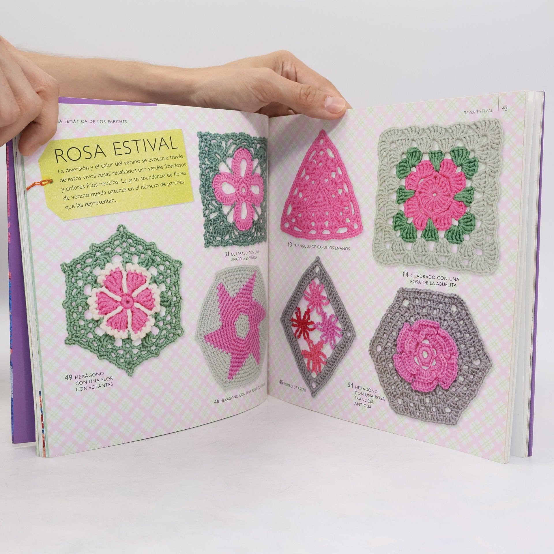 Betty Barnden 75 cuadros florales para ganchillo