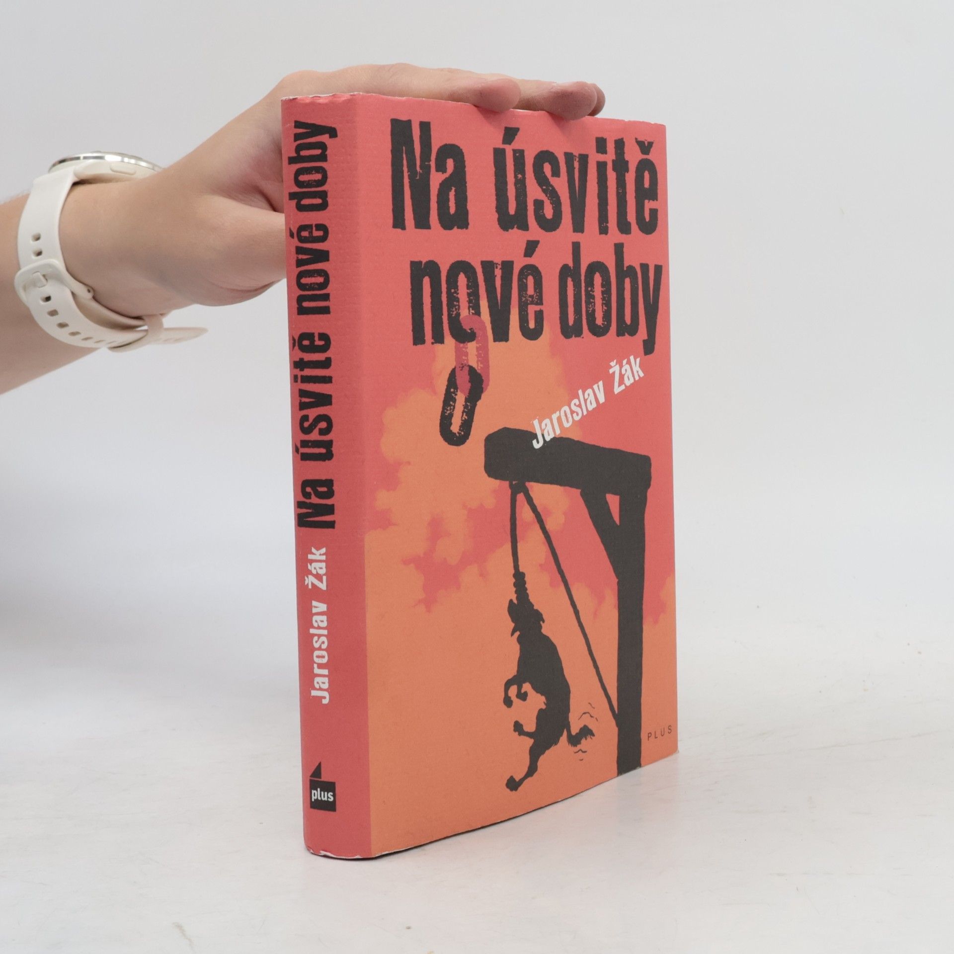 Jaroslav Žák Na úsvitě nové doby