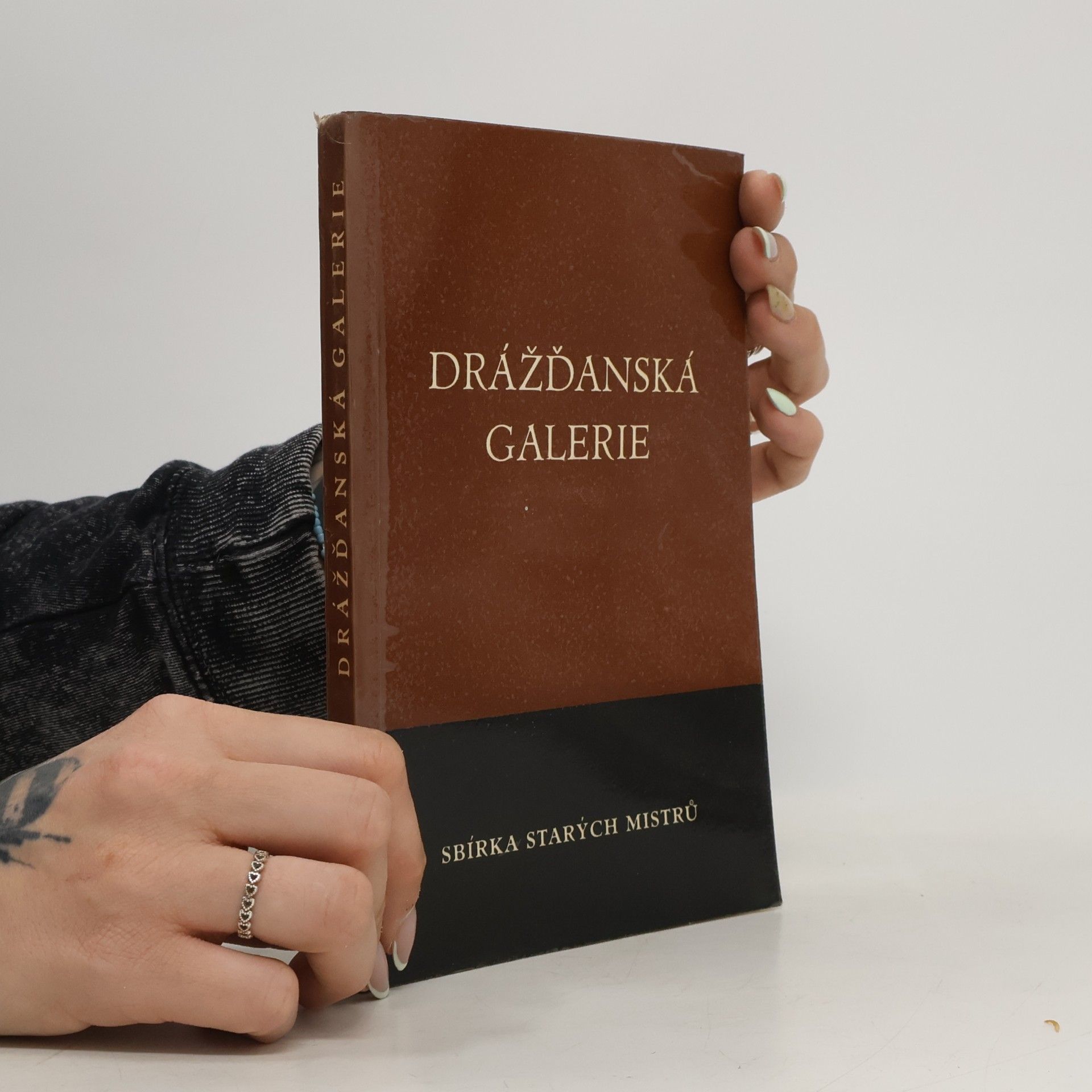 Vratislav Janda Drážďanská galerie: sbírka starých mistrů