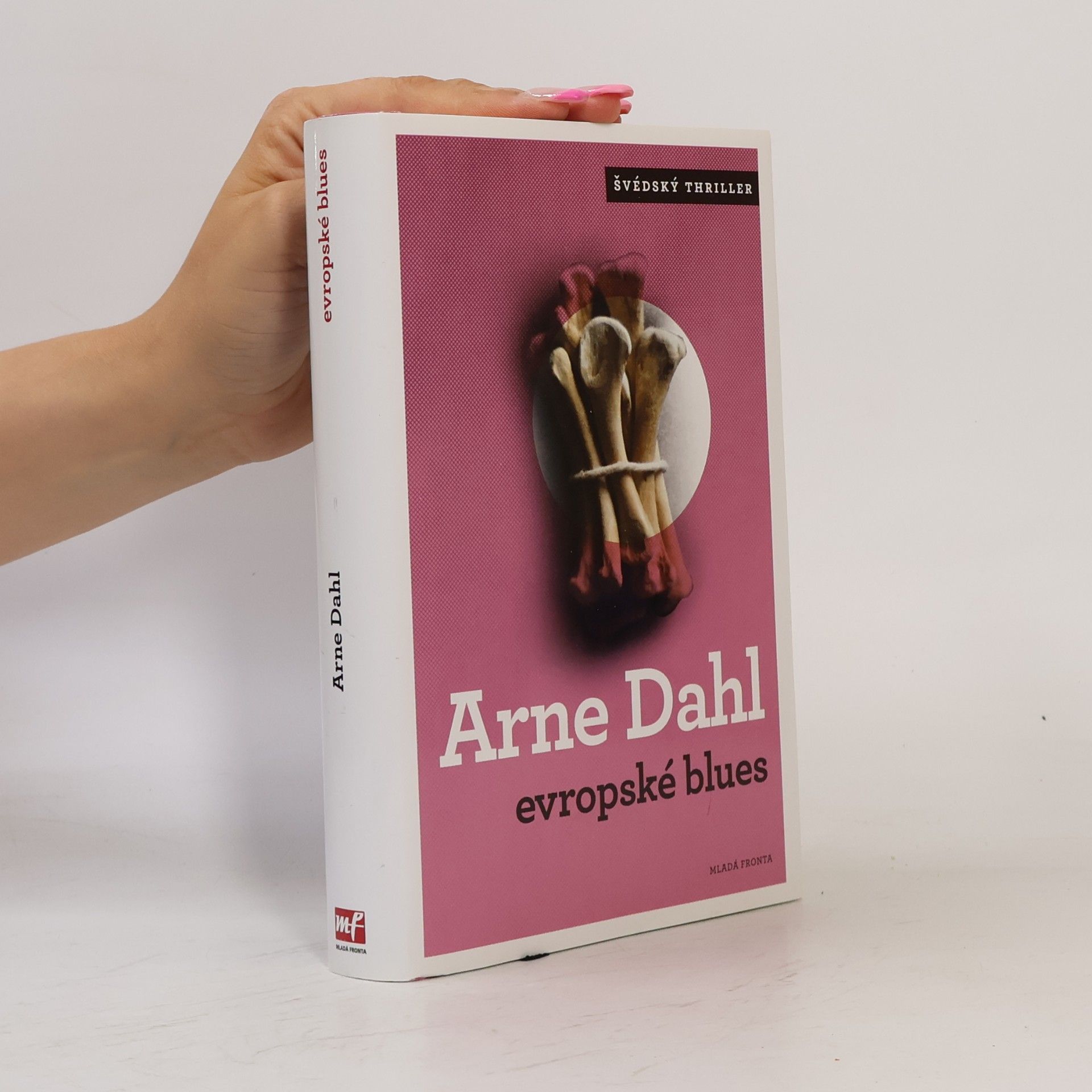Arne Dahl Evropské blues