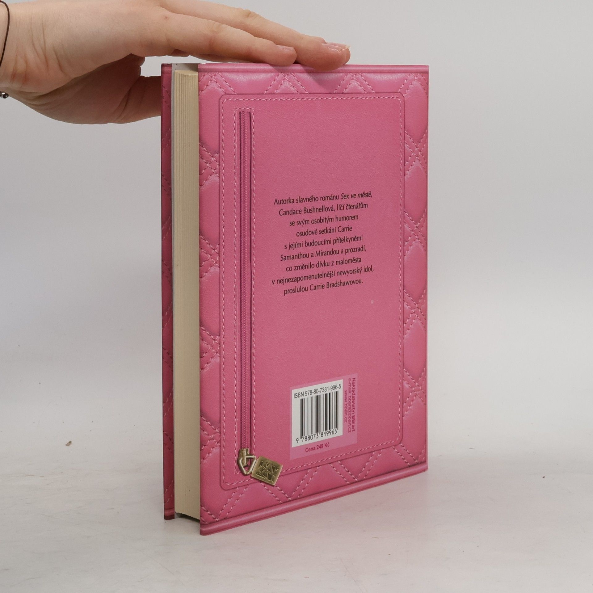 Candace Bushnell Deníky Carrie B. 2, Léto ve městě
