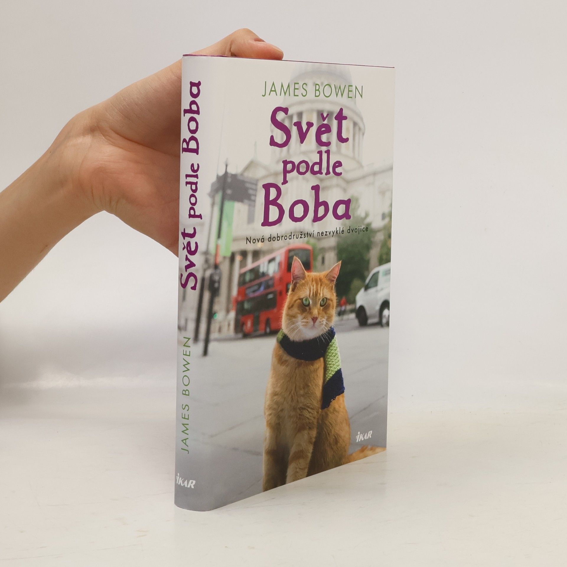 James Bowen Svět podle Boba