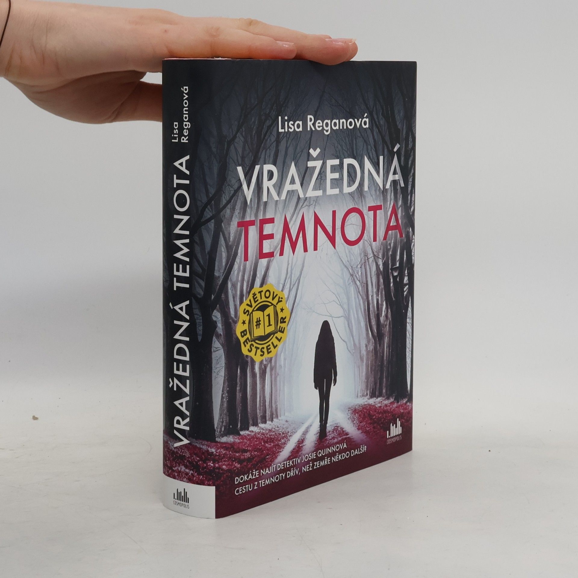 Lisa Regan Vražedná temnota