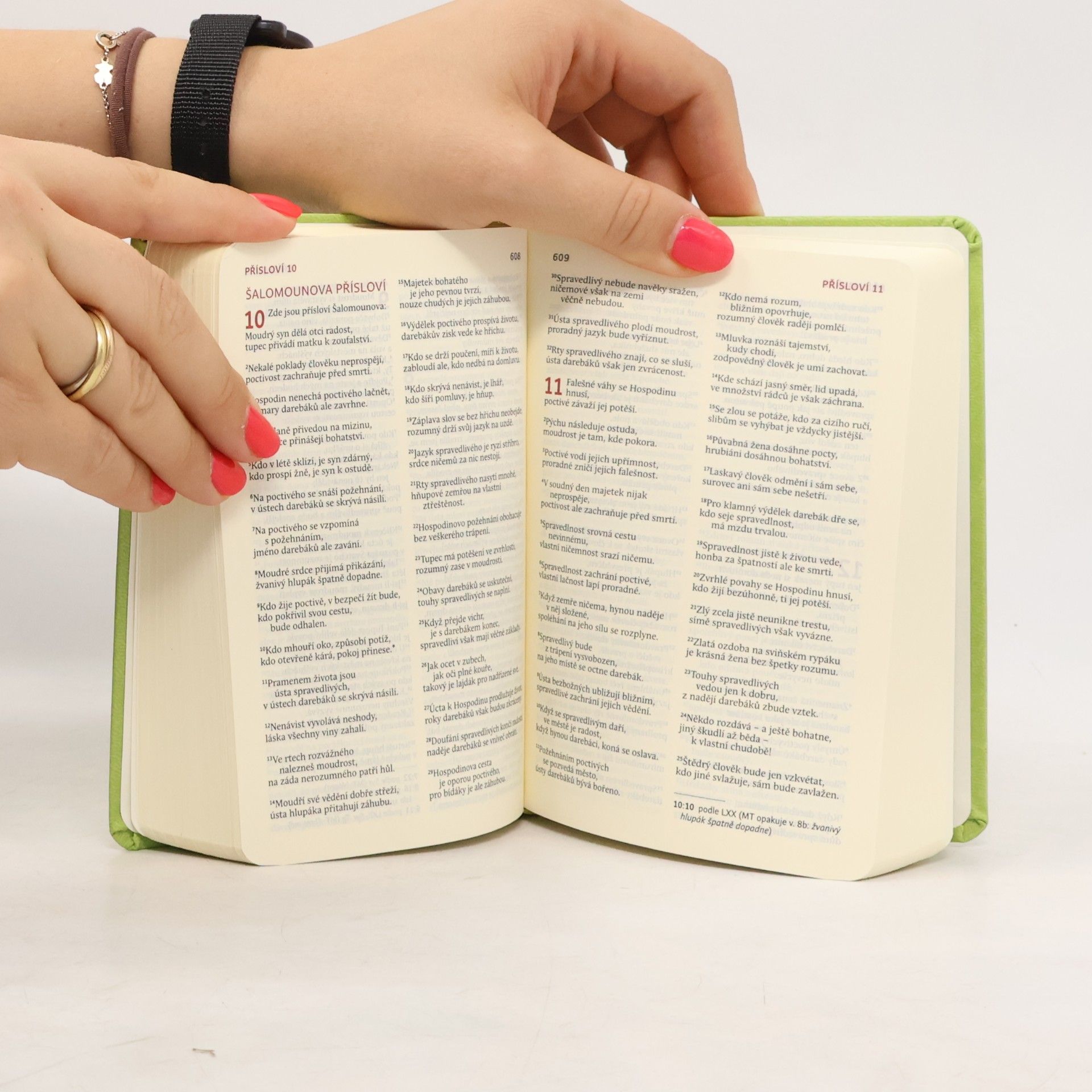Kolektiv autorů Bible : překlad 21. století