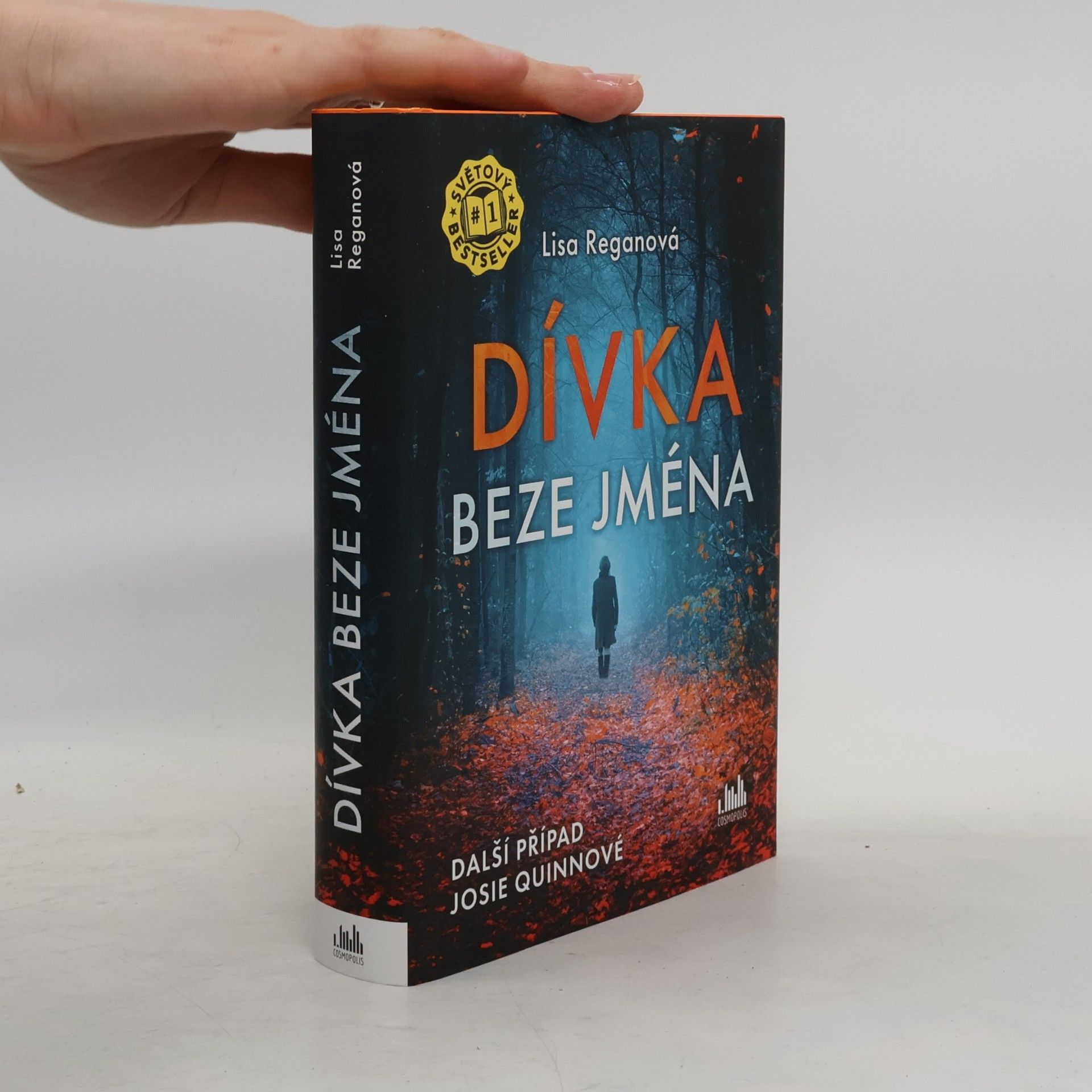Lisa Regan Dívka beze jména: Další případ Josie Quinnové