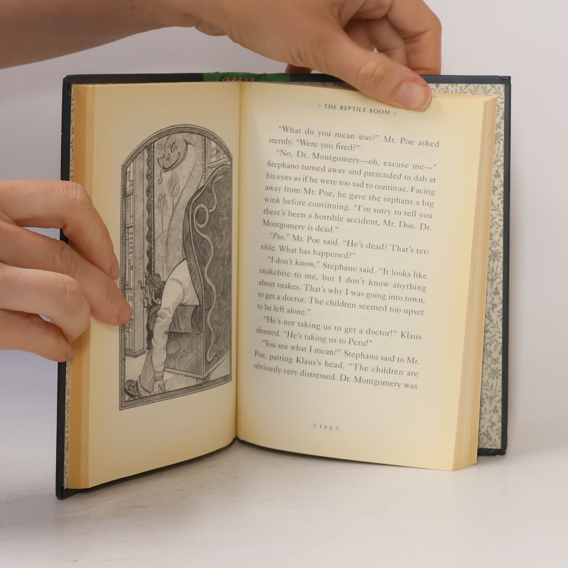 Lemony Snicket A Series of Unfortunate Events 2: The Reptile Room