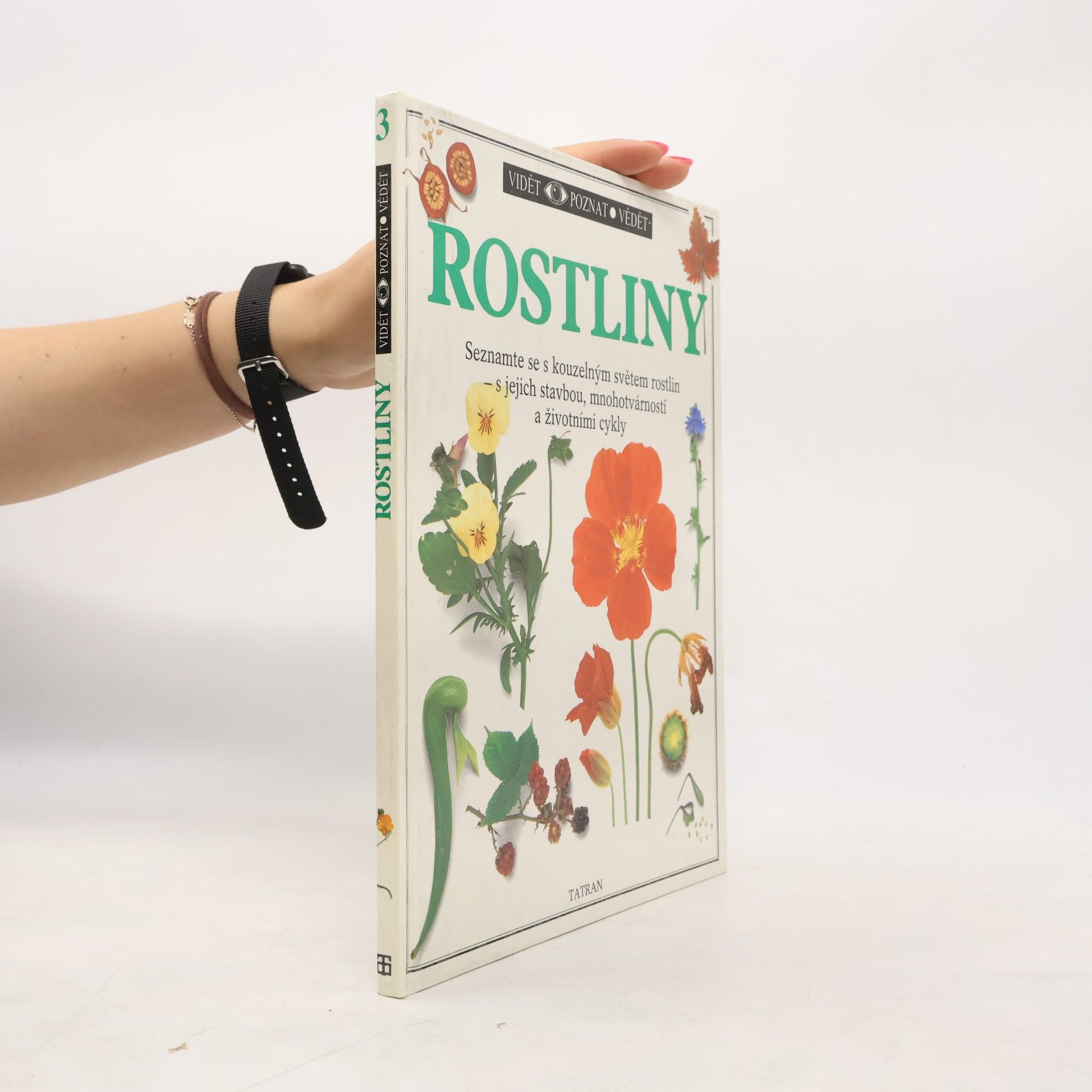 Rostliny