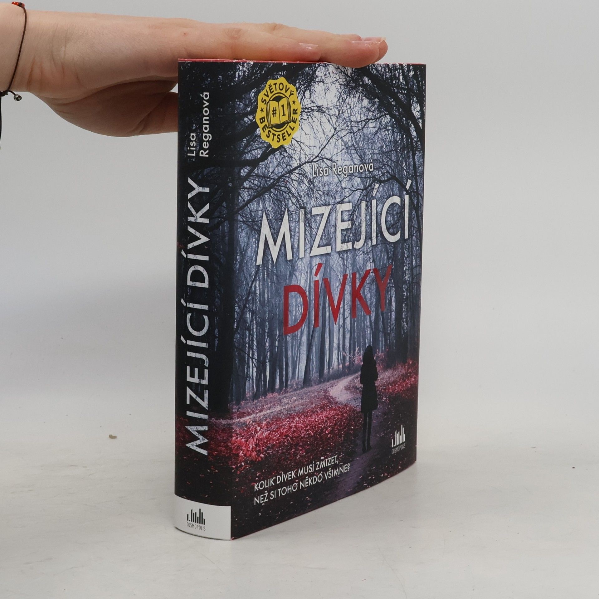 Lisa Regan Mizející dívky