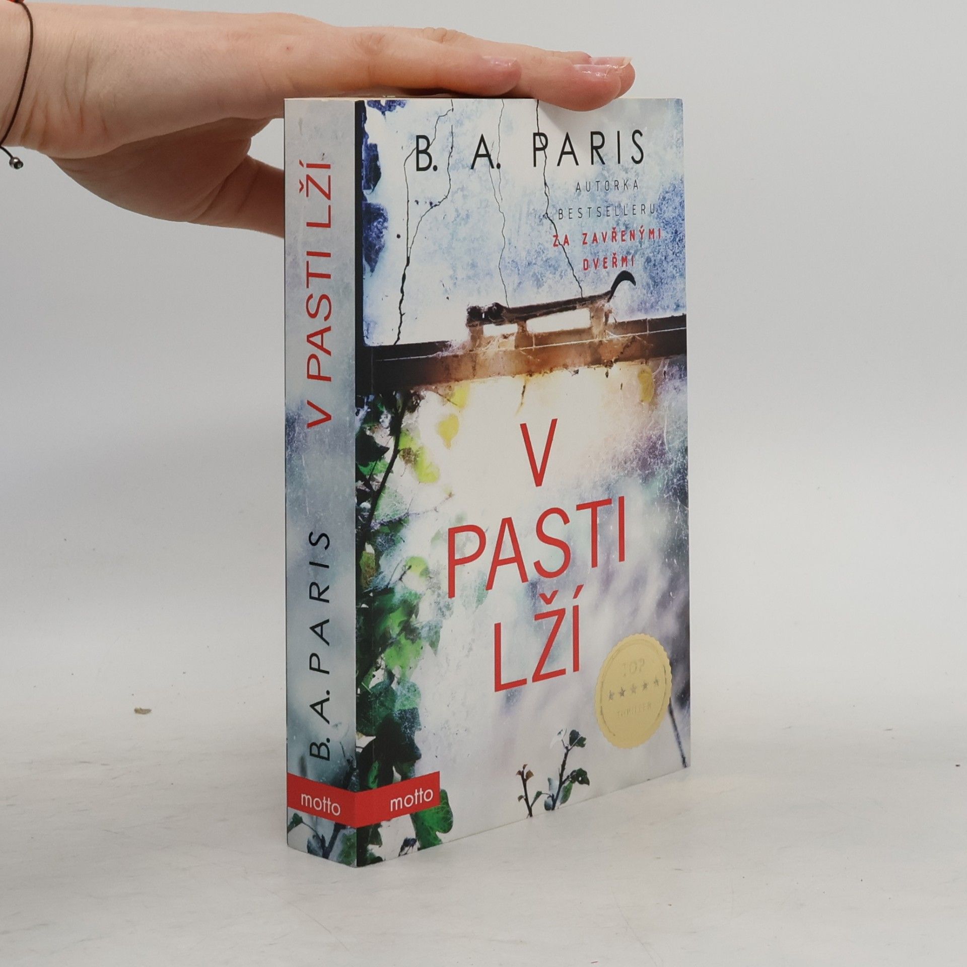 B. A. Paris V pasti lží