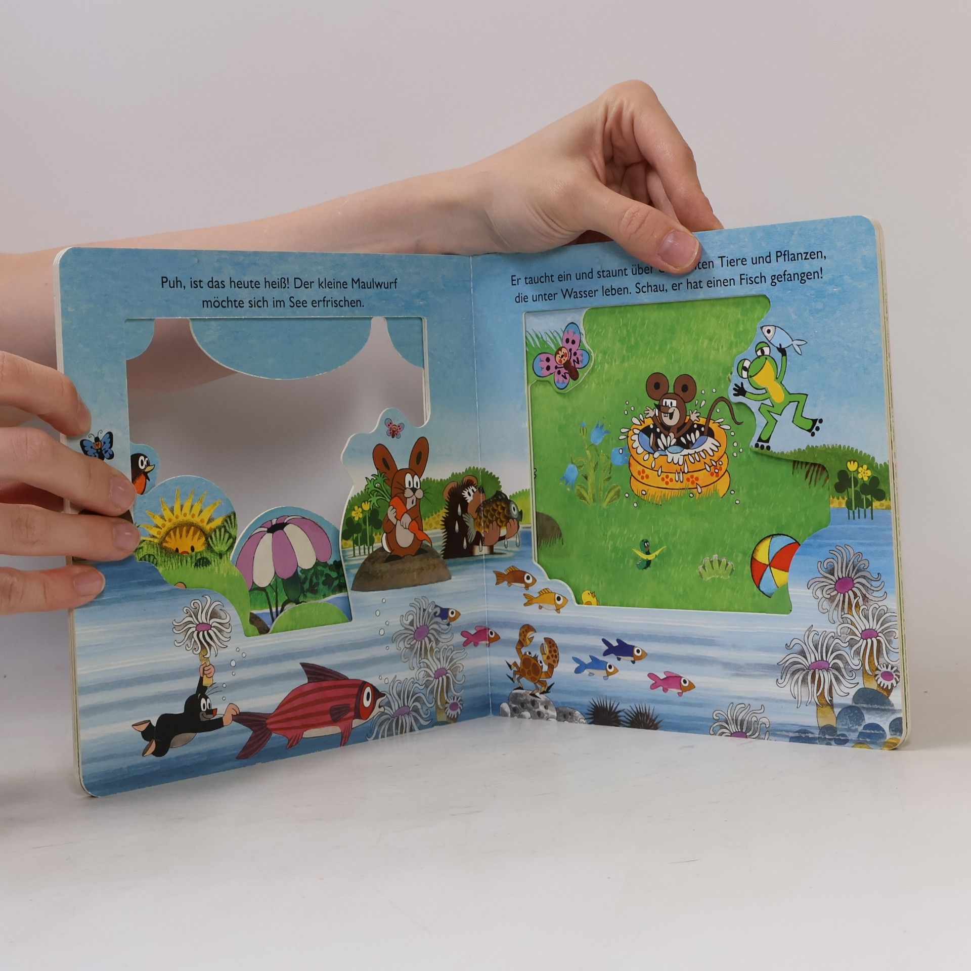 Zdeněk Miler Der kleine Maulwurf Fensterbuch