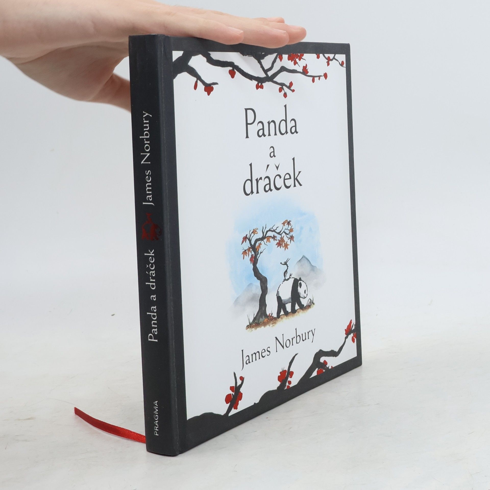 James Norbury Panda a dráček
