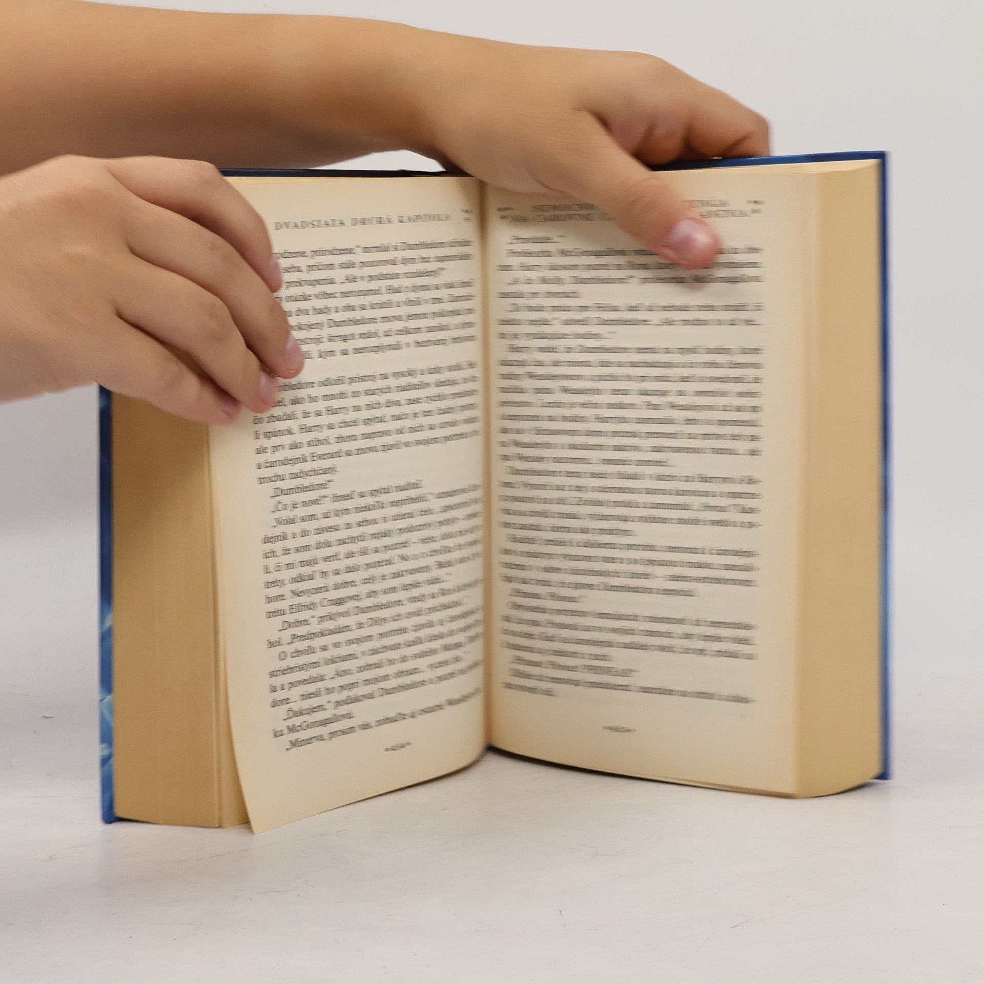 J. K. Rowling Harry Potter a Fénixov rád