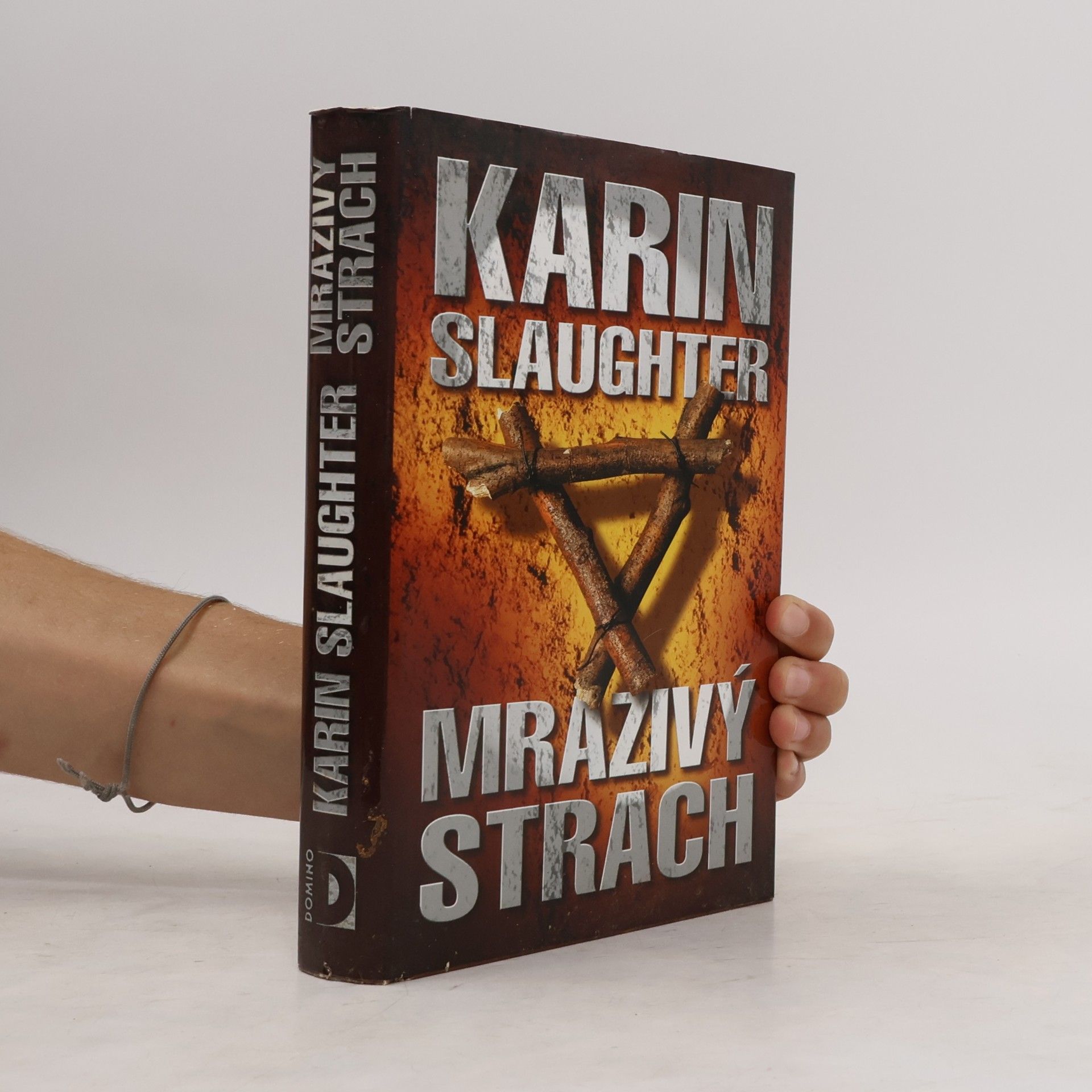 Karin Slaughter Mrazivý strach