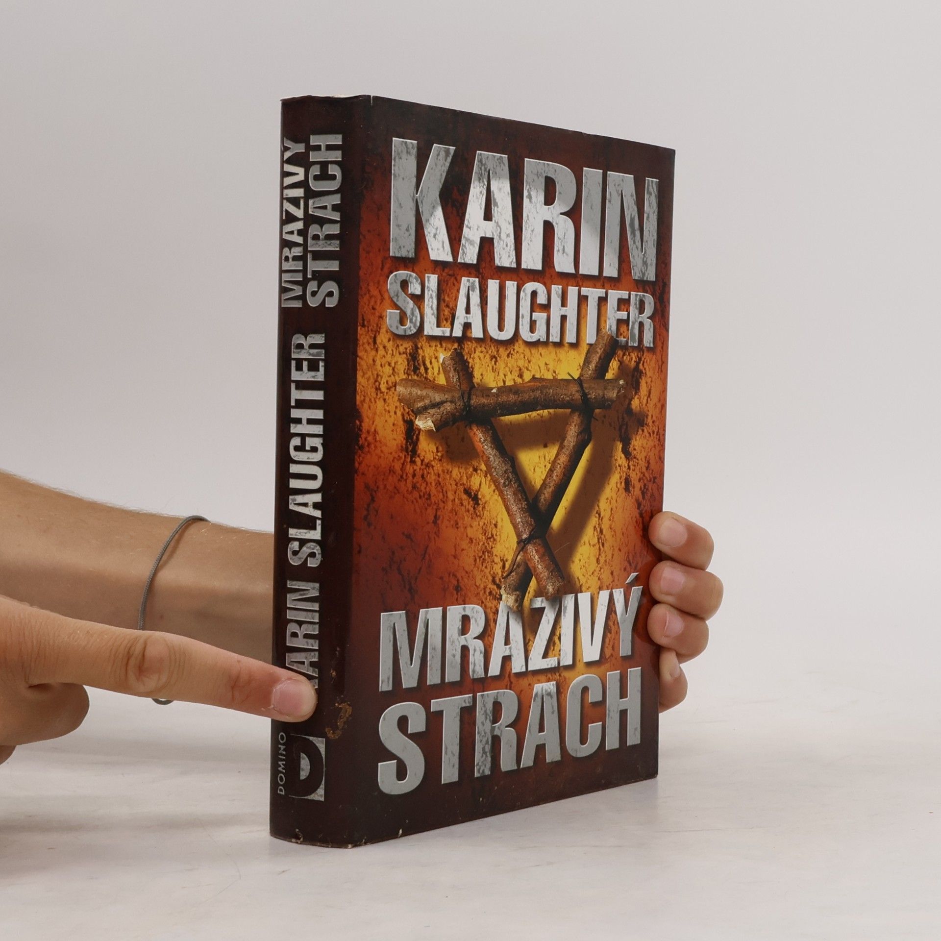 Karin Slaughter Mrazivý strach