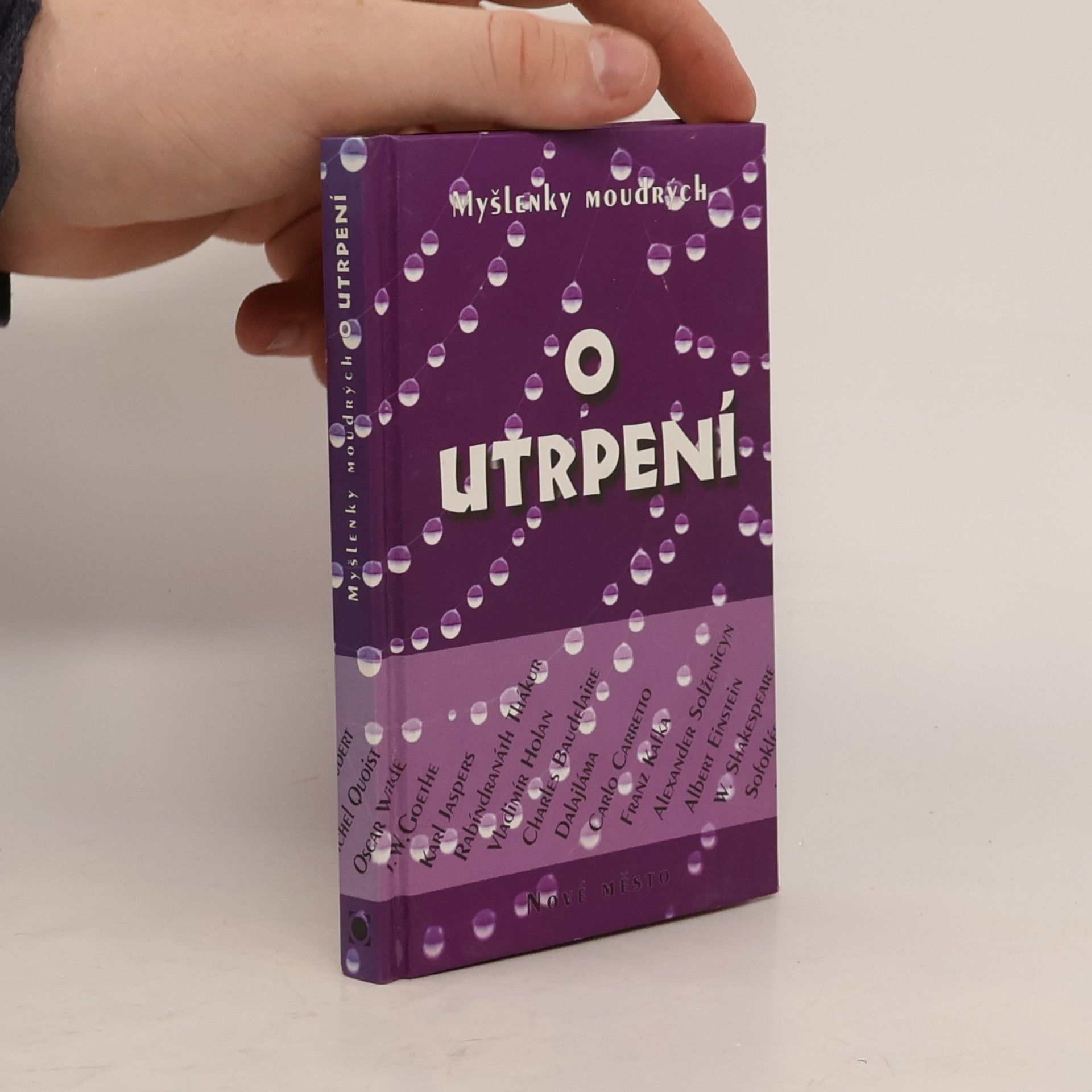 Myšlenky moudrých o utrpení