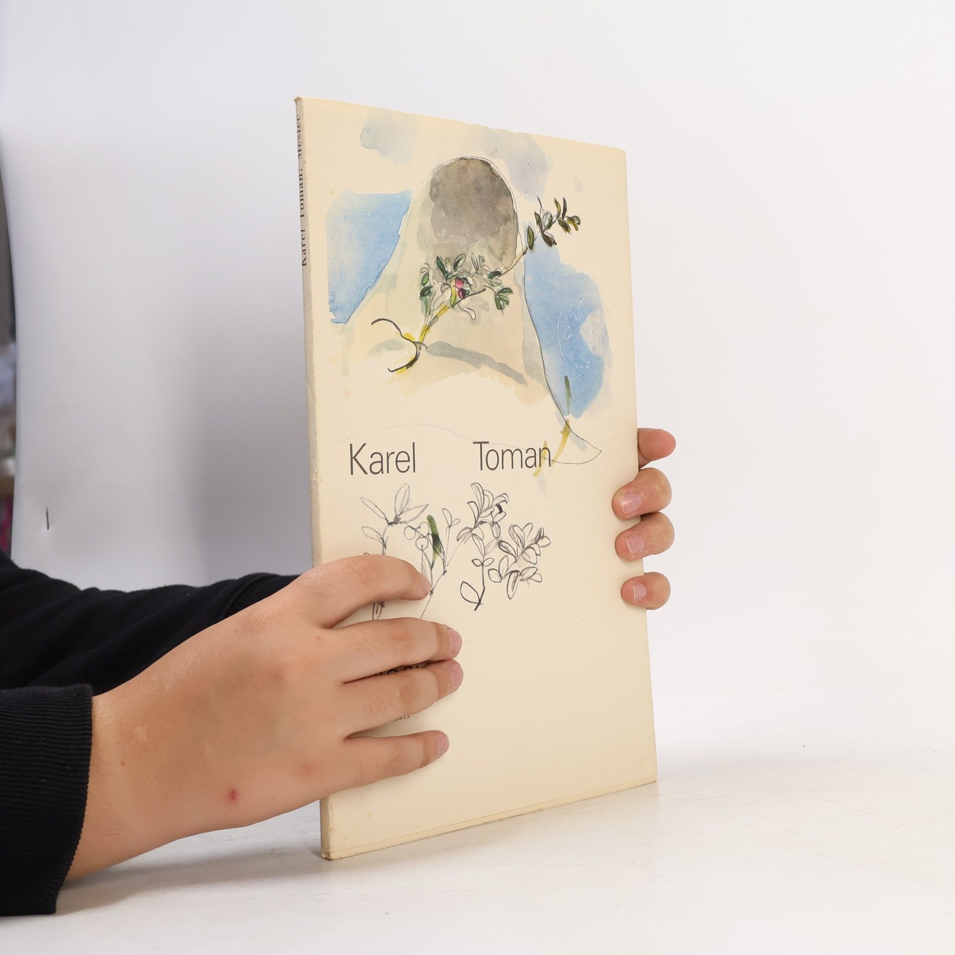 Karel Toman Měsíce