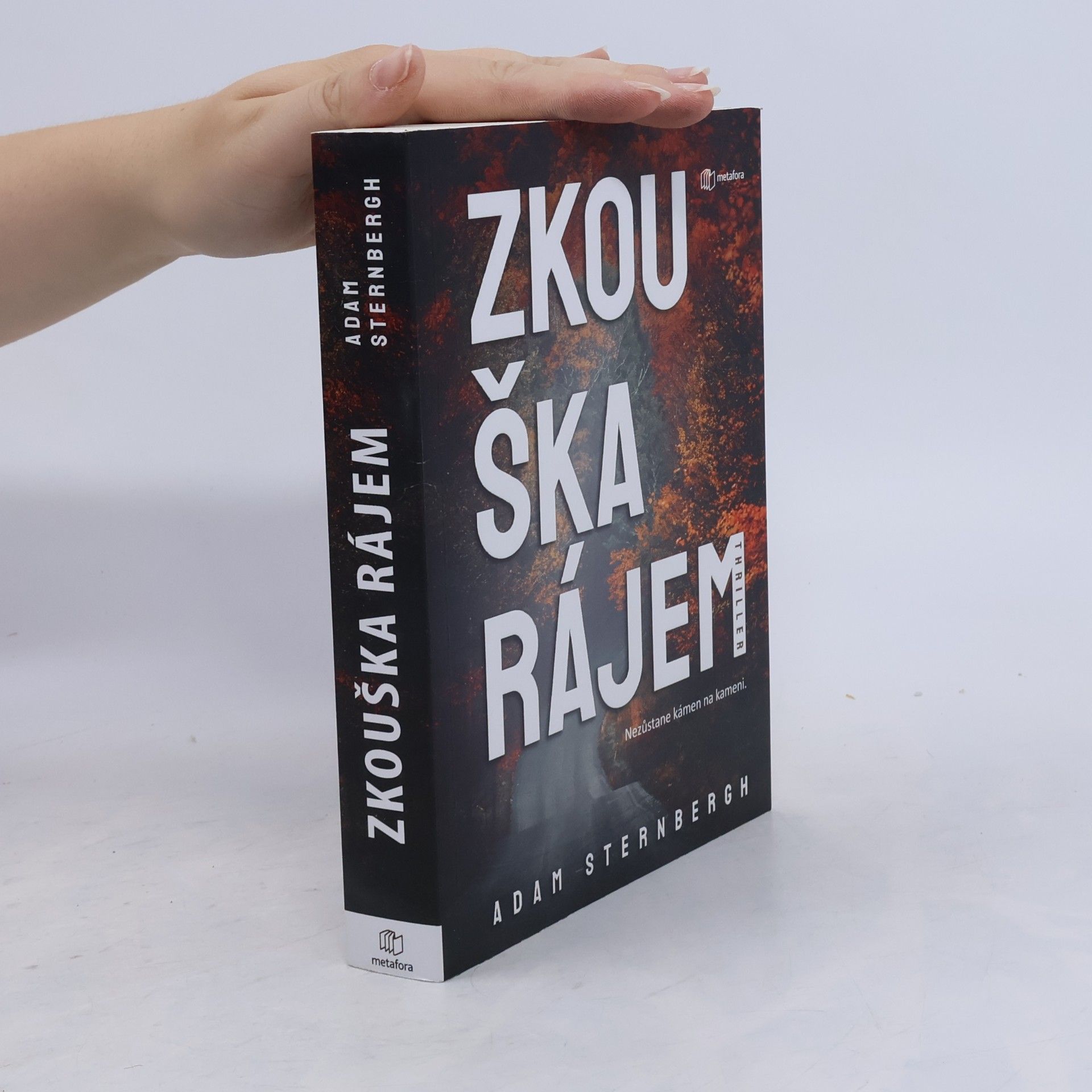 Adam Sternbergh Zkouška rájem