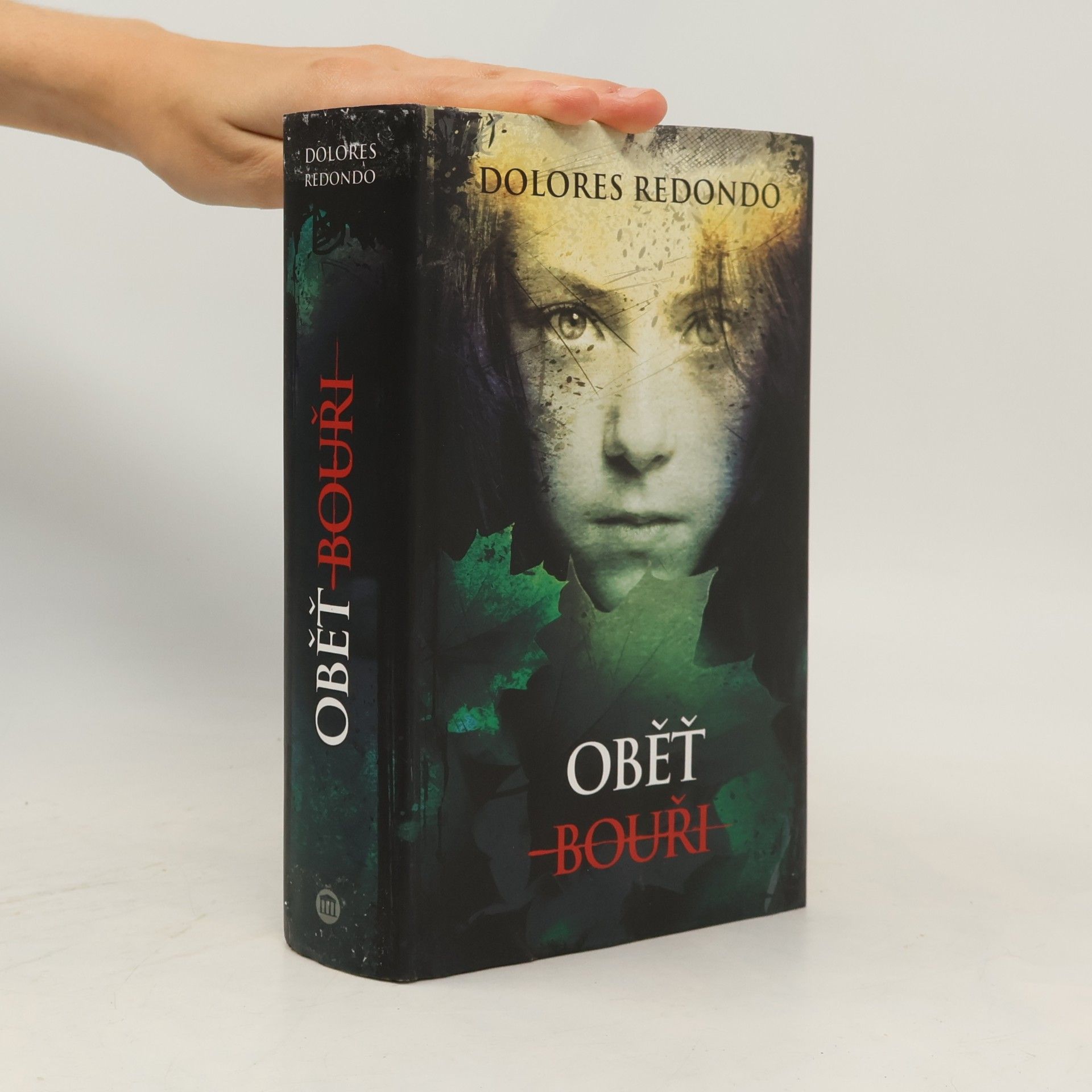 Dolores Redondo Oběť bouři