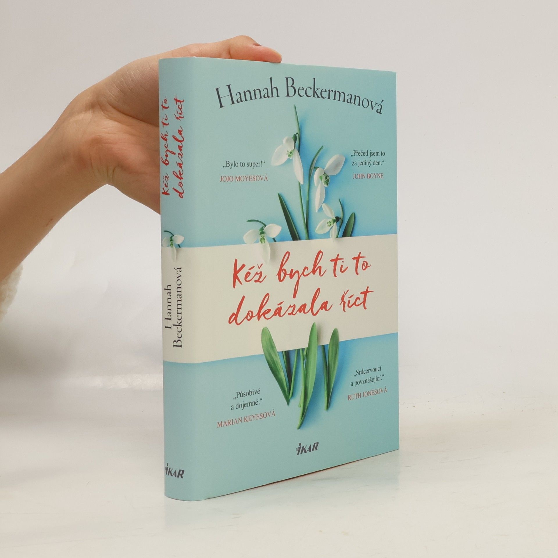 Hannah Beckerman Kéž bych ti to dokázala říct