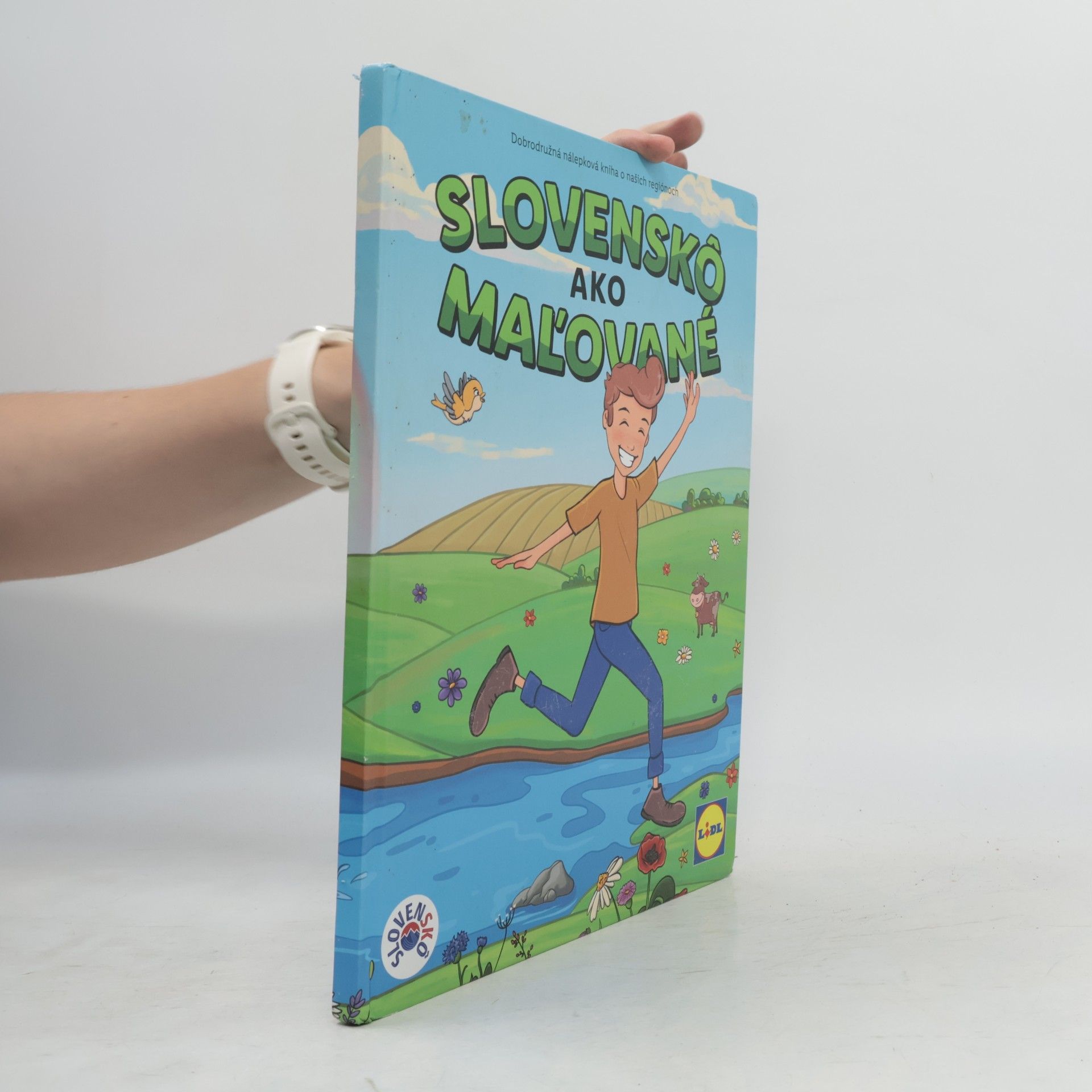 Autorenkollektiv Slovenskô ako maľované