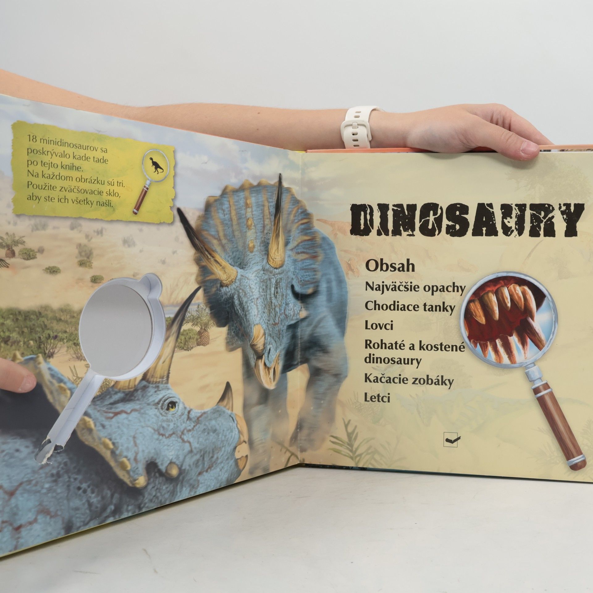 Autorenkollektiv Dinosaury