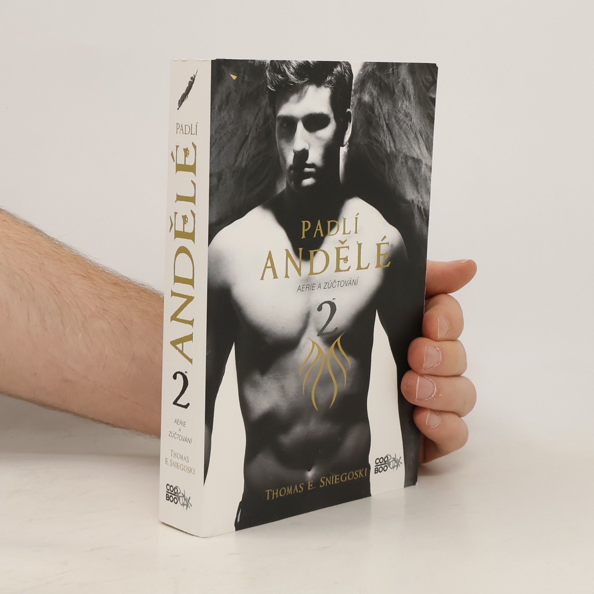 Thomas E. Sniegoski Aerie a zúčtování. Padlí andělé. 2. díl
