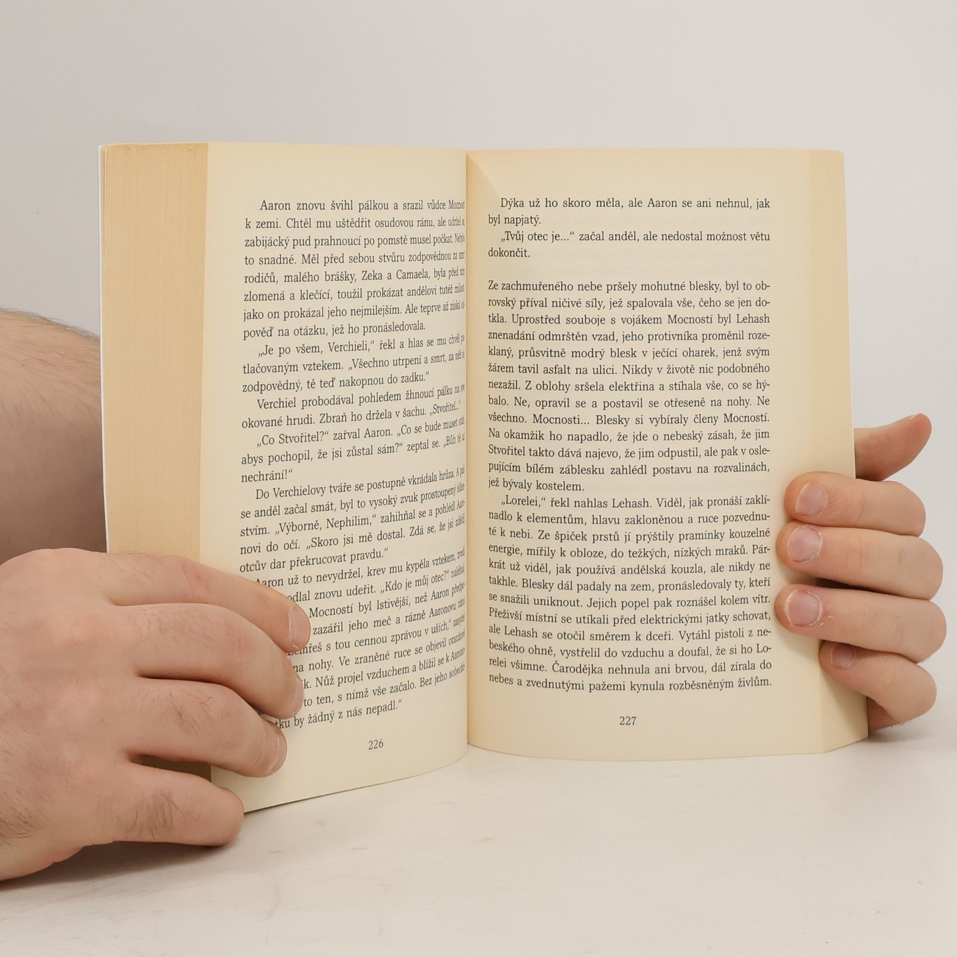 Thomas E. Sniegoski Aerie a zúčtování. Padlí andělé. 2. díl