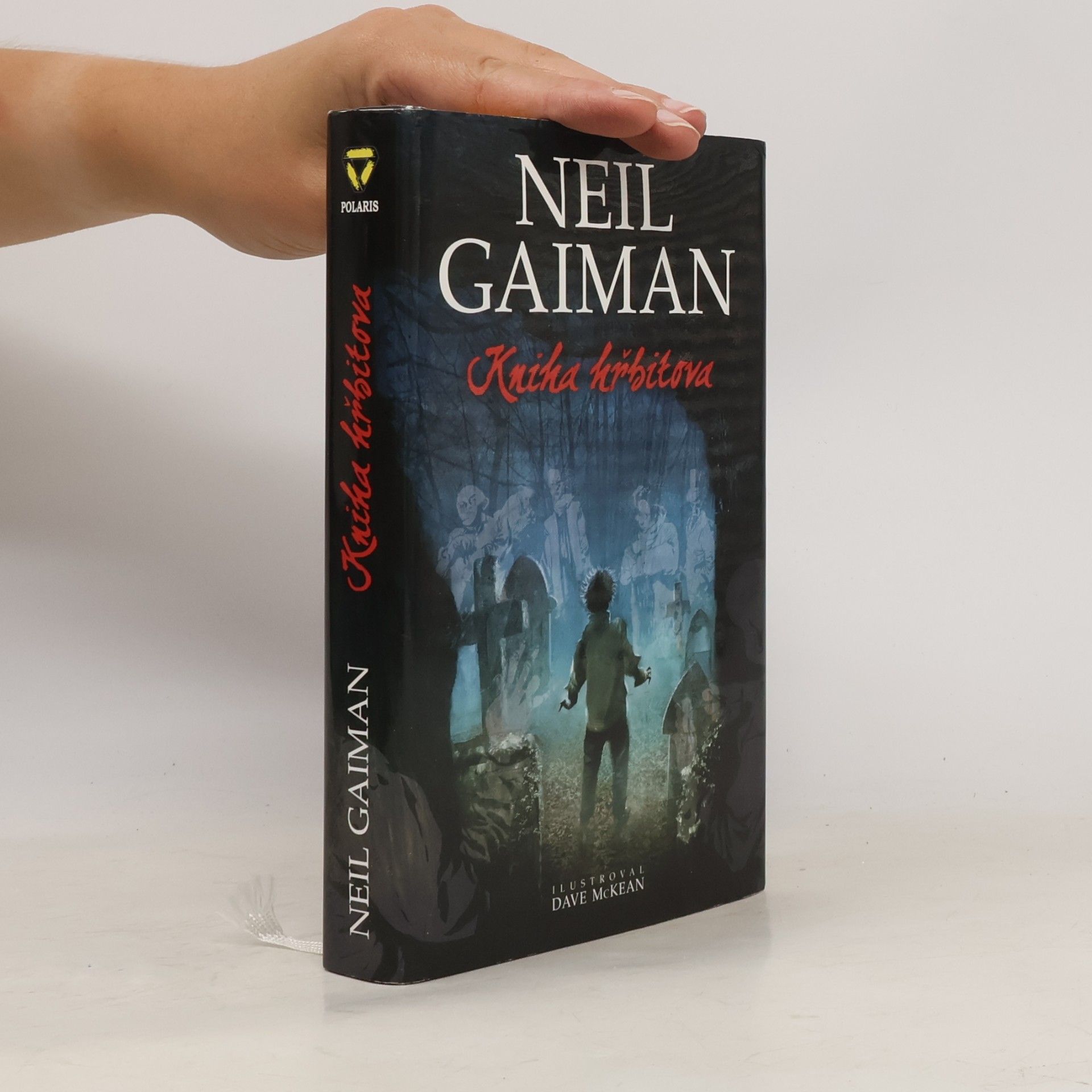 Neil Gaiman Kniha hřbitova