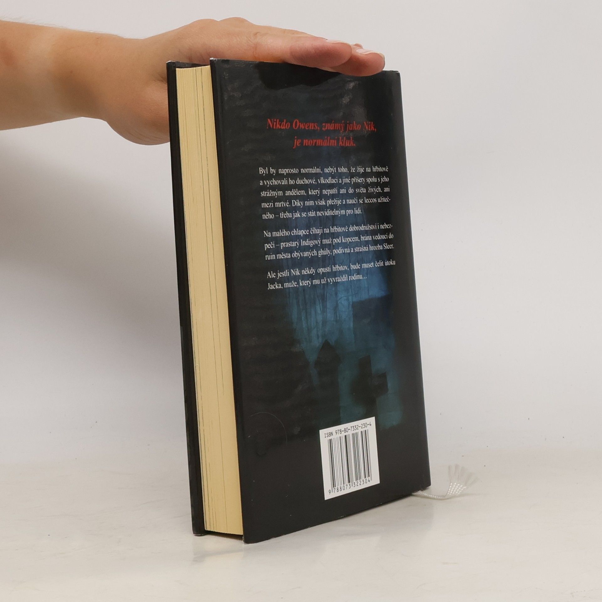 Neil Gaiman Kniha hřbitova