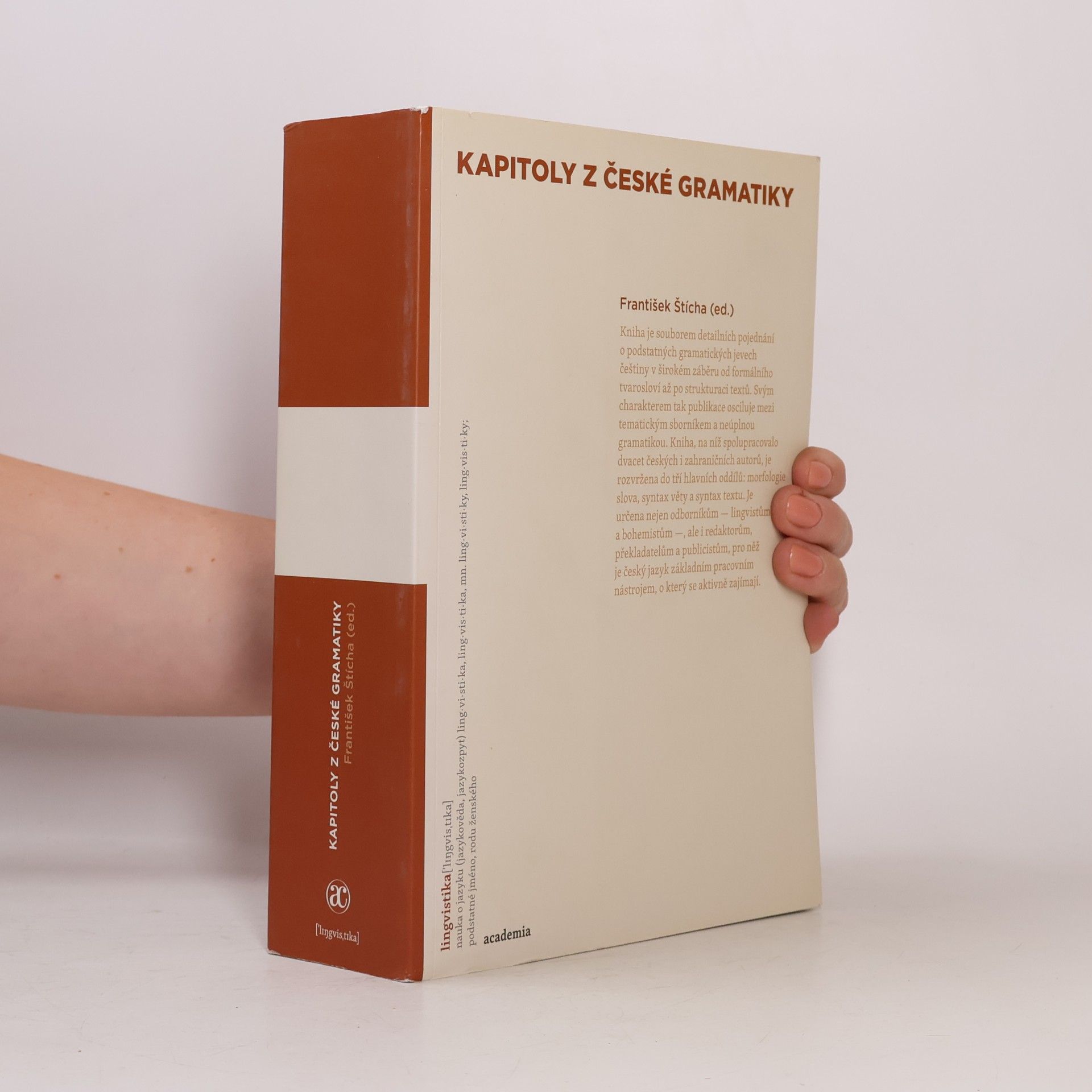 František Štícha Kapitoly z české gramatiky