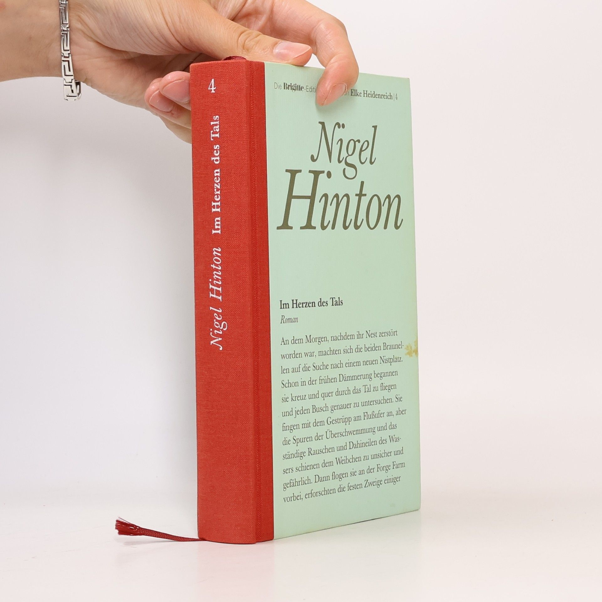 Nigel Hinton Im Herzen des Tals 4