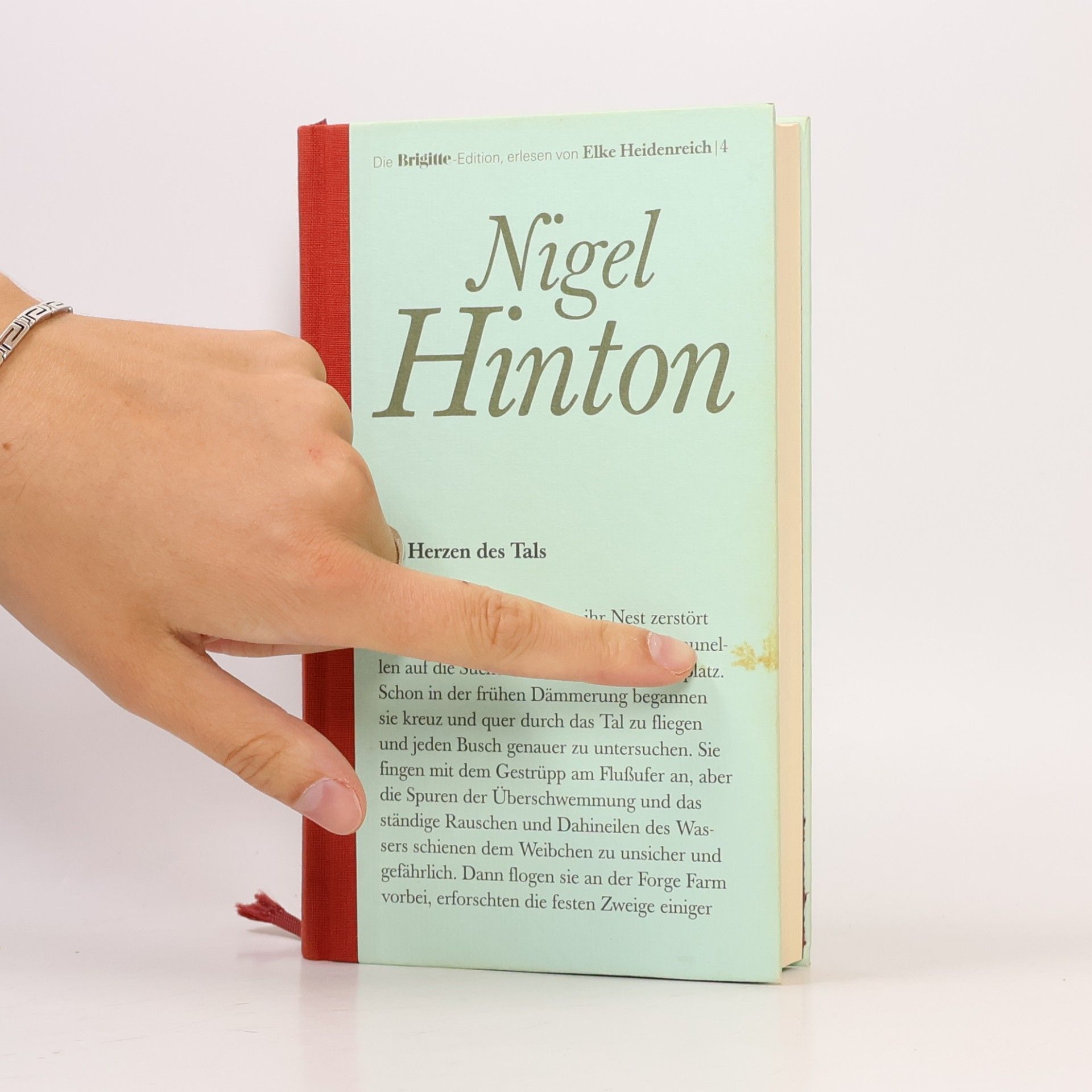 Nigel Hinton Im Herzen des Tals 4