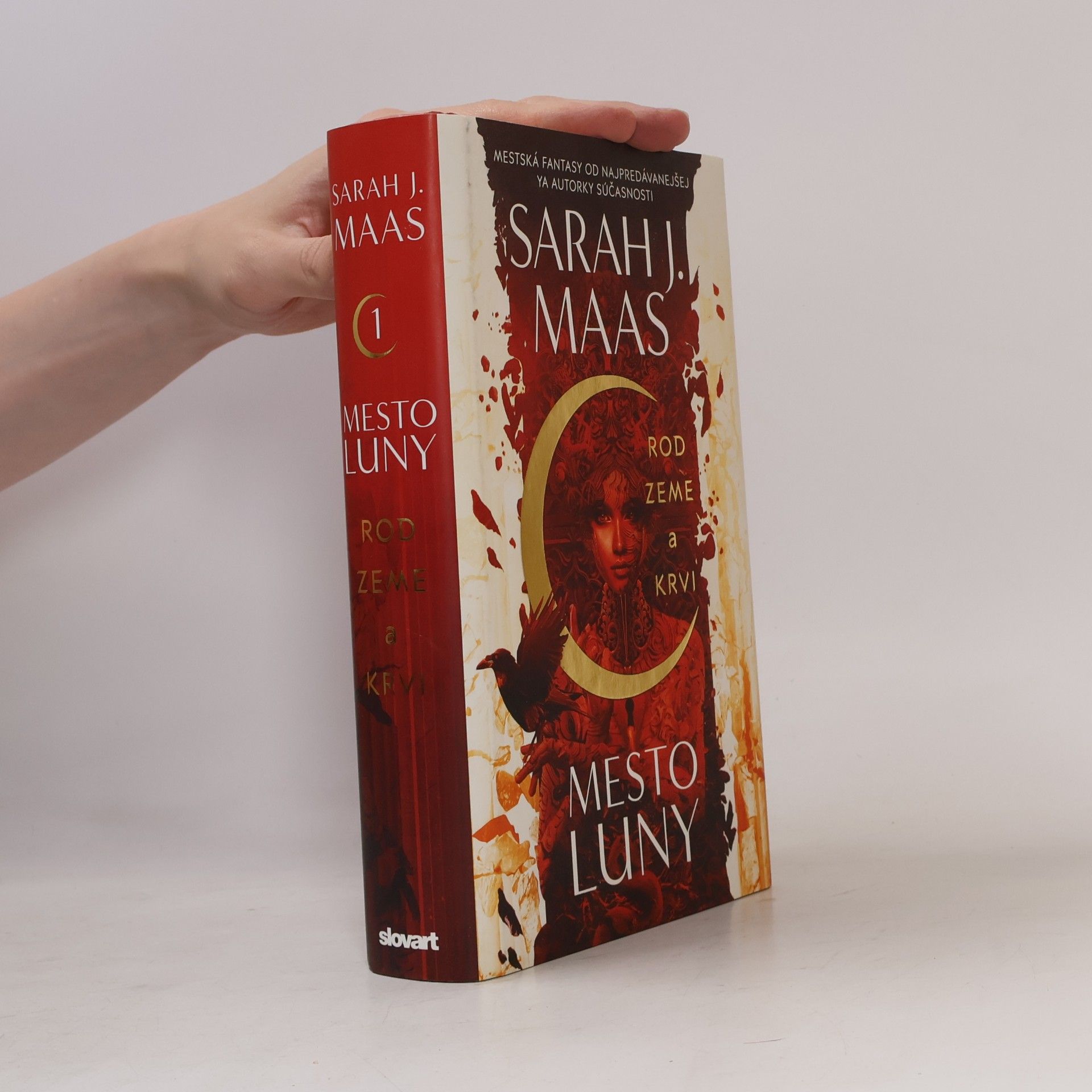 Sarah J. Maas Rod zeme a krvi