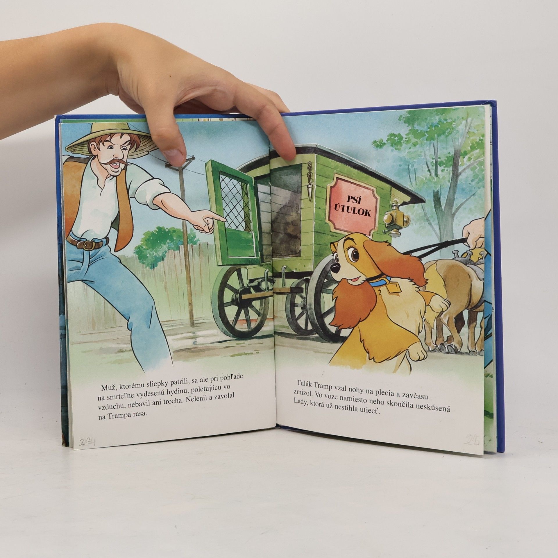 Walt Disney Lady a Tramp