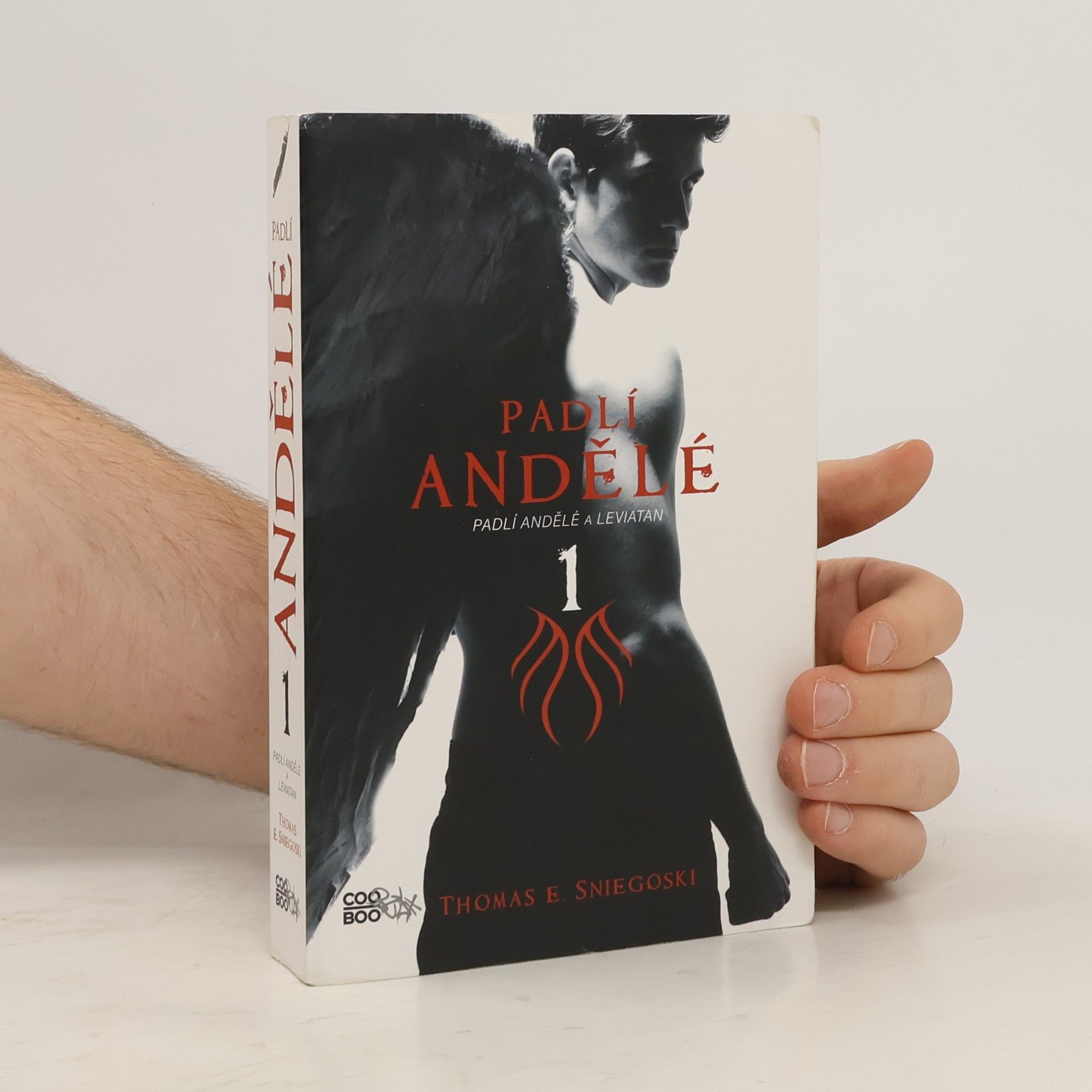 Thomas E. Sniegoski Padlí andělé a Leviatan. Padlí andělé. 1. díl