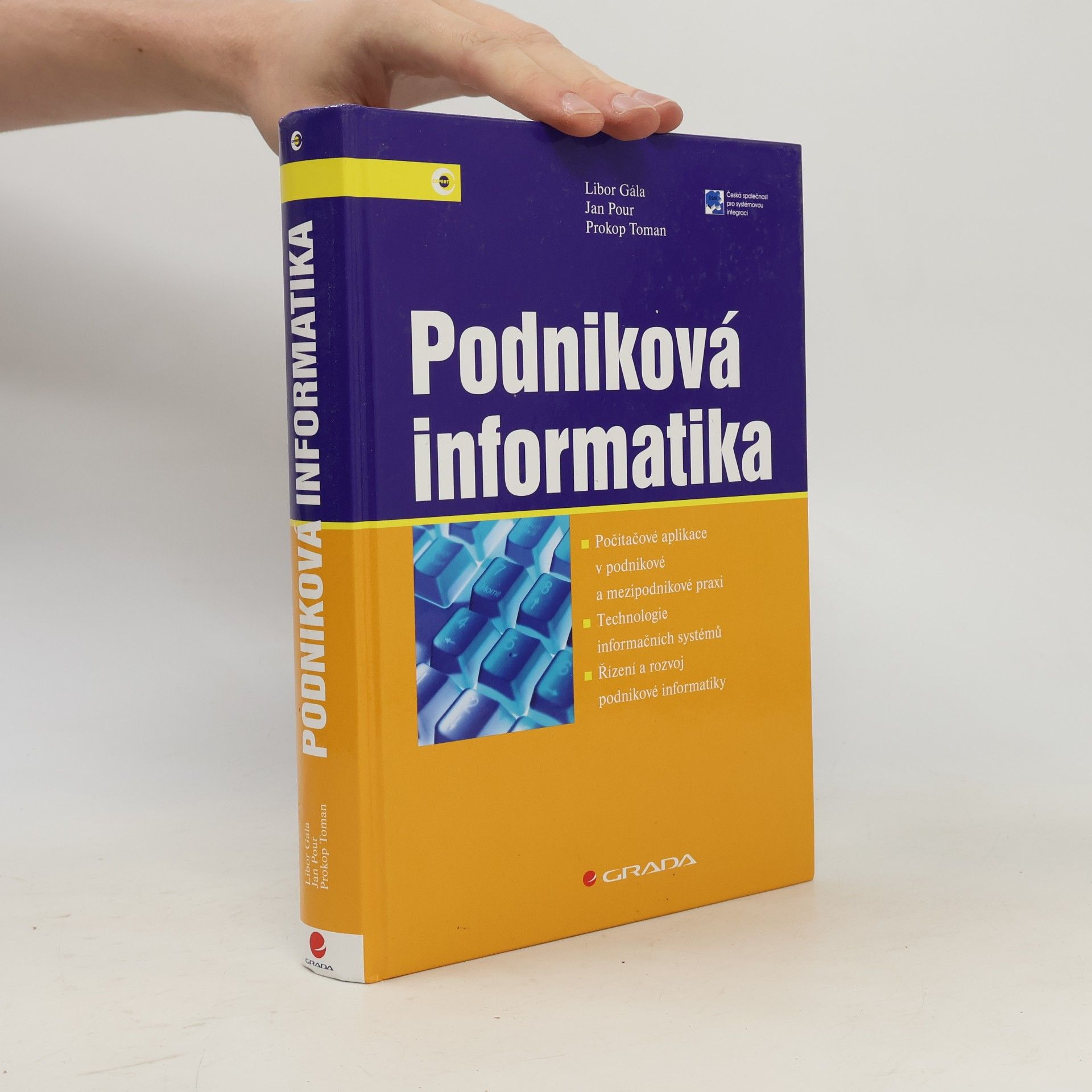 Jan Pour Podniková informatika