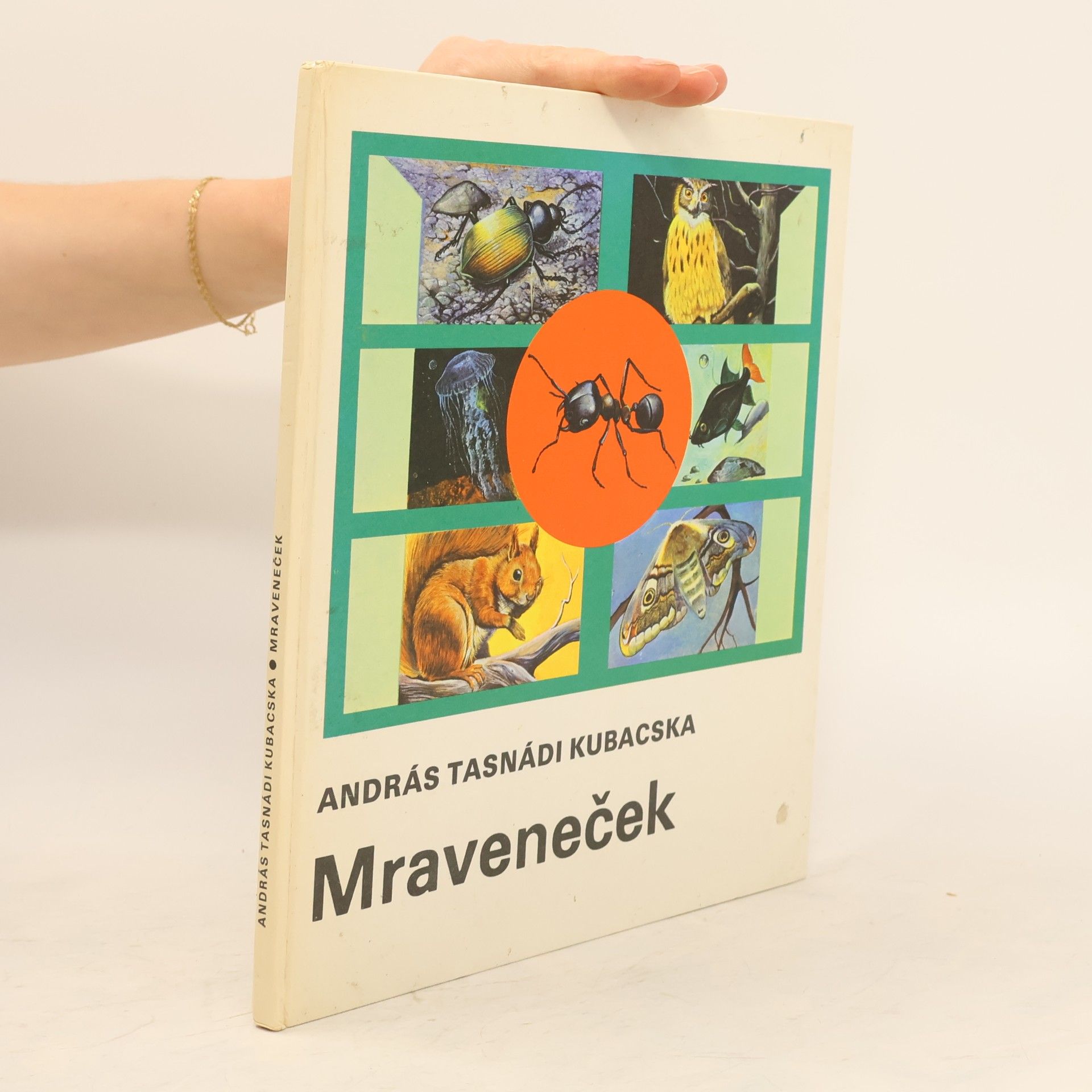 András Tasnádi Kubacska Mraveneček