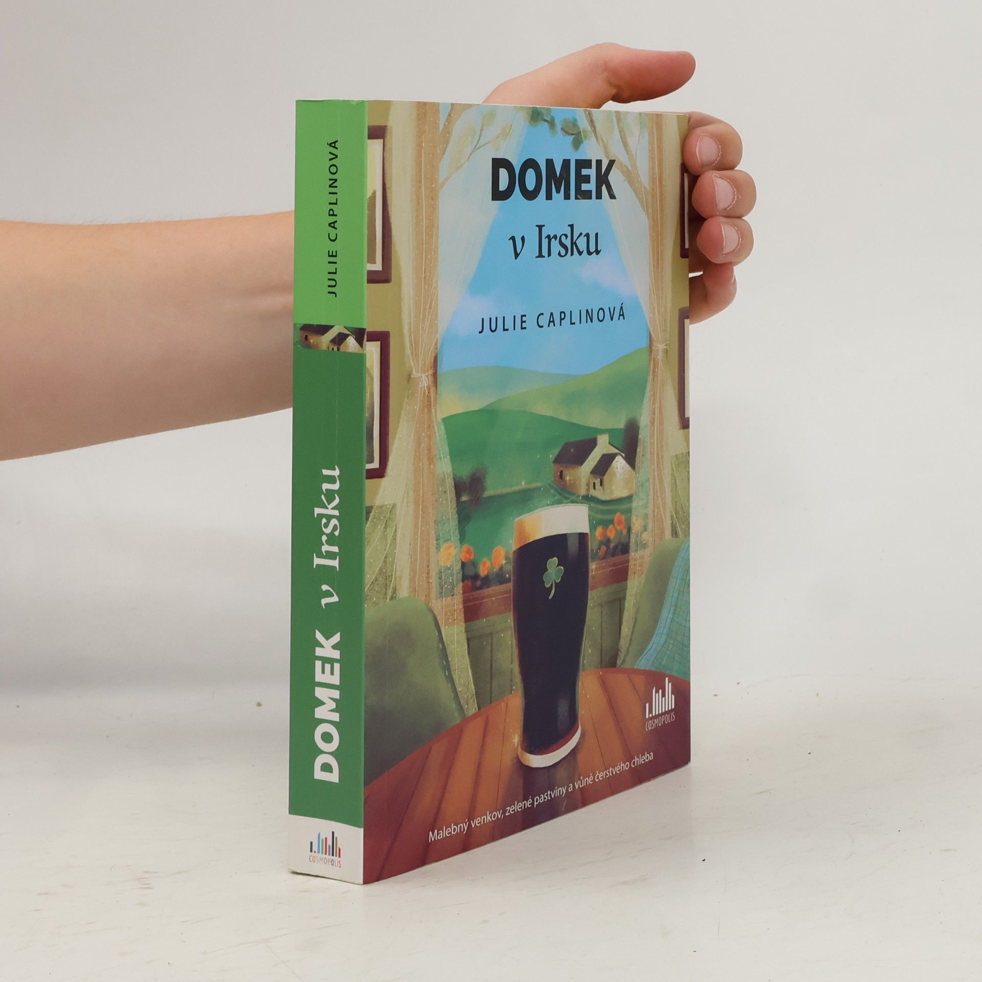 Julie Caplin Domek v Irsku