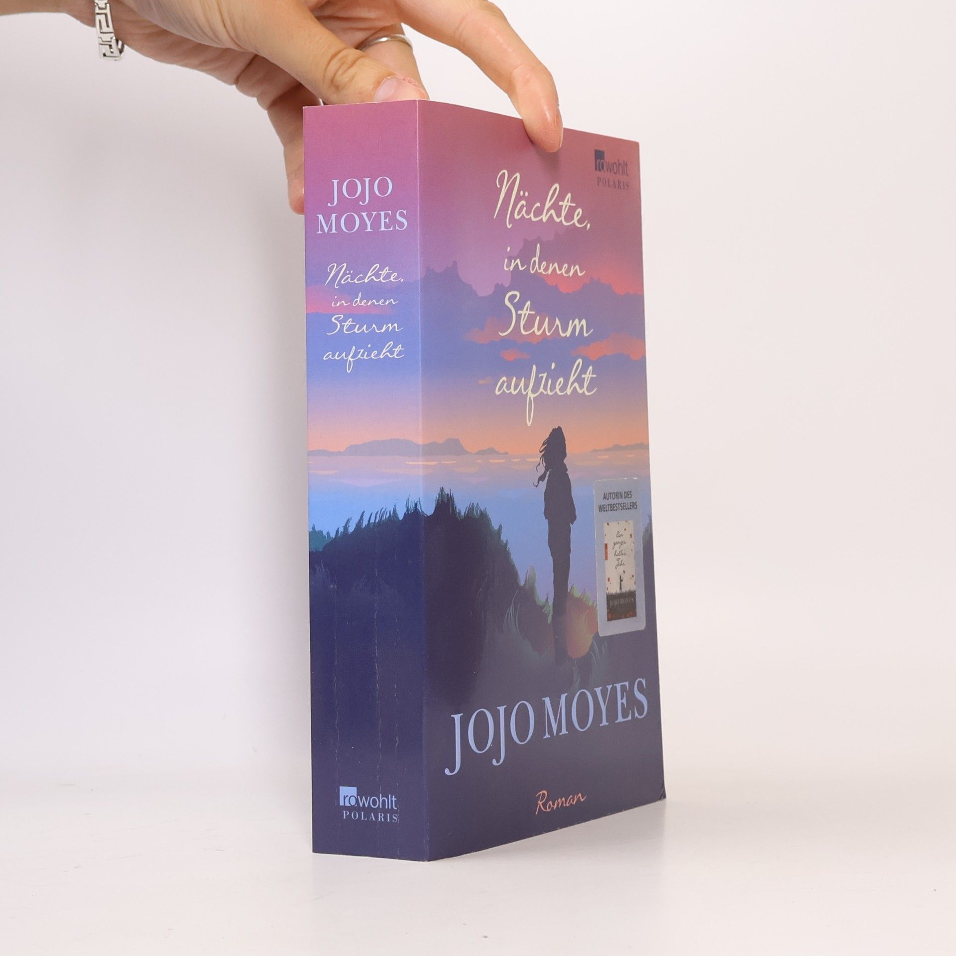 Jojo Moyes Nächte in denen Sturm aufzieht