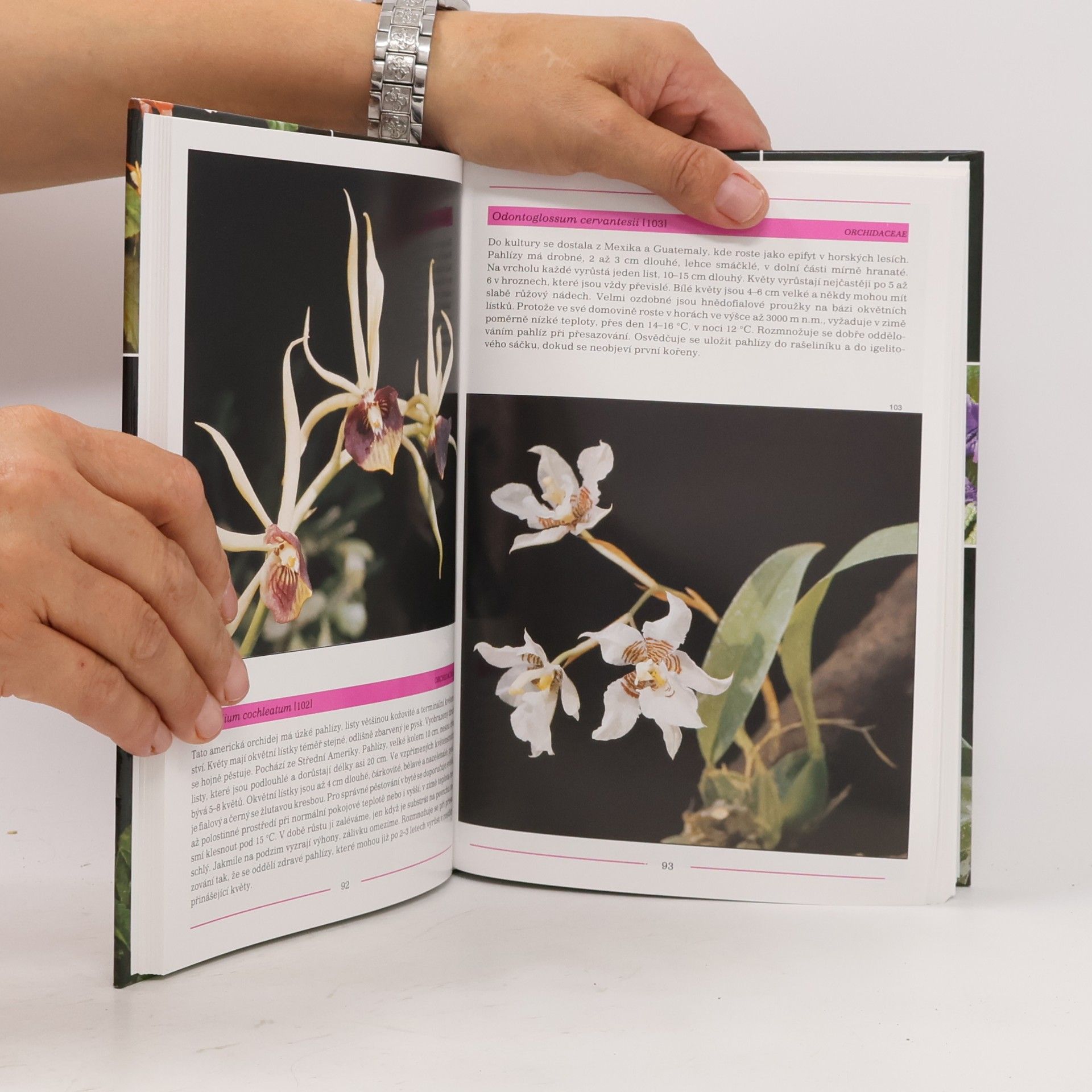 Anna Skalická Fotografický atlas : Pokojové rostliny