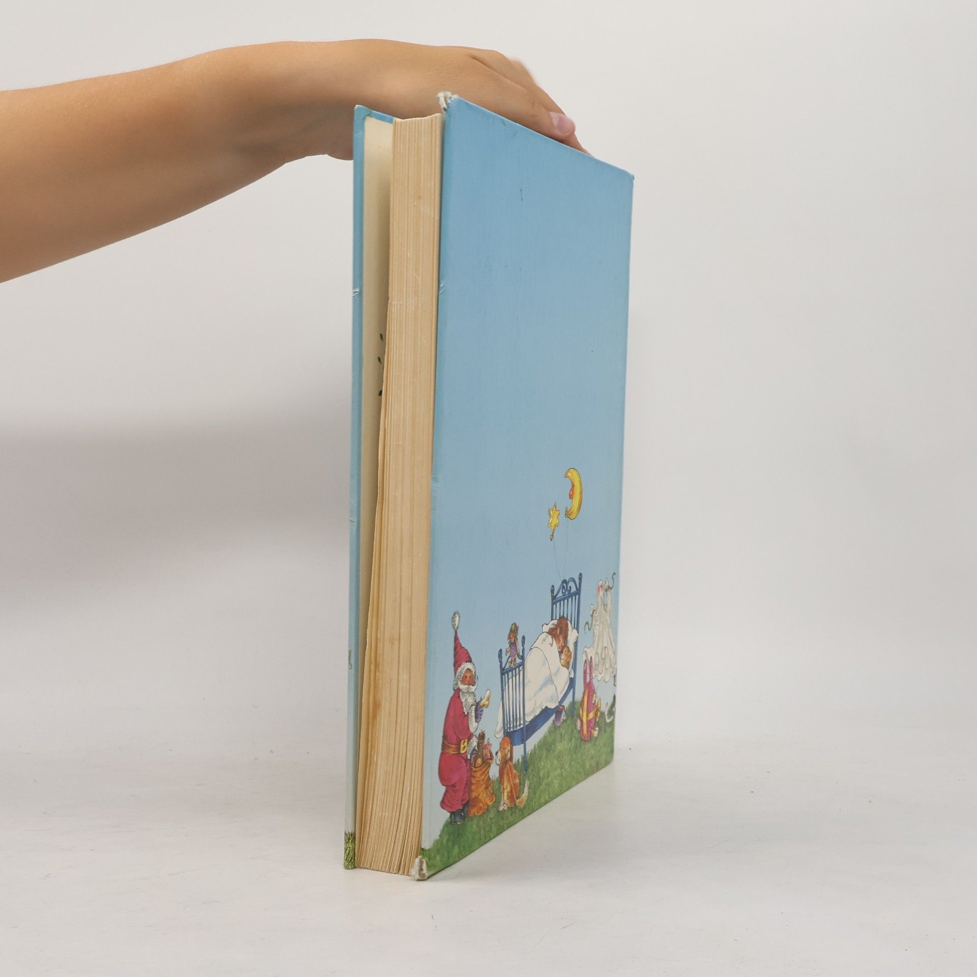 Collectif d'auteurs Das große Leselöwen-Geschichtenbuch