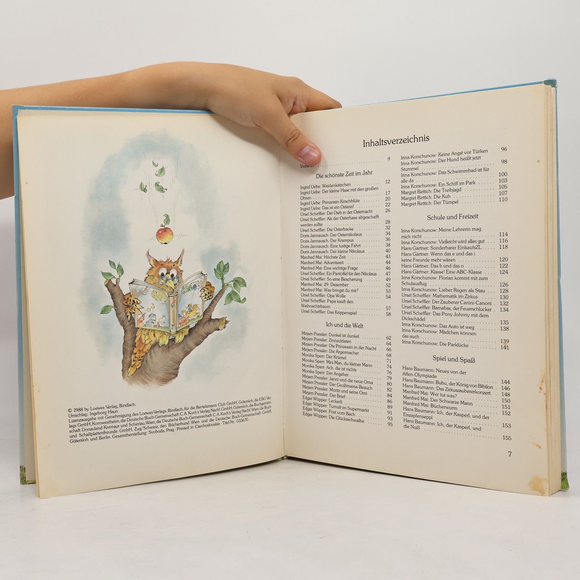 Collectif d'auteurs Das große Leselöwen-Geschichtenbuch
