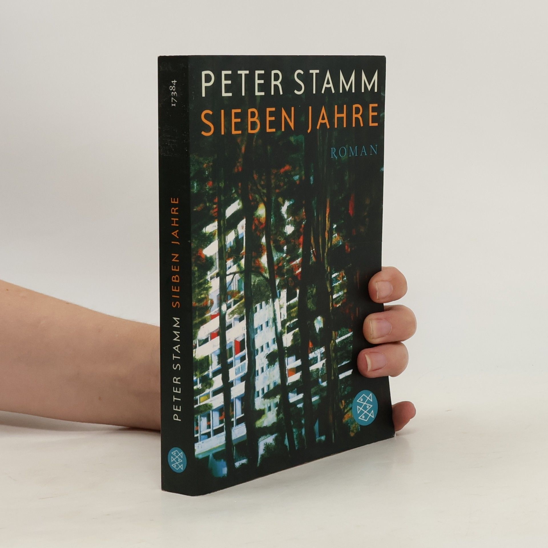 Peter Stamm Sieben Jahre