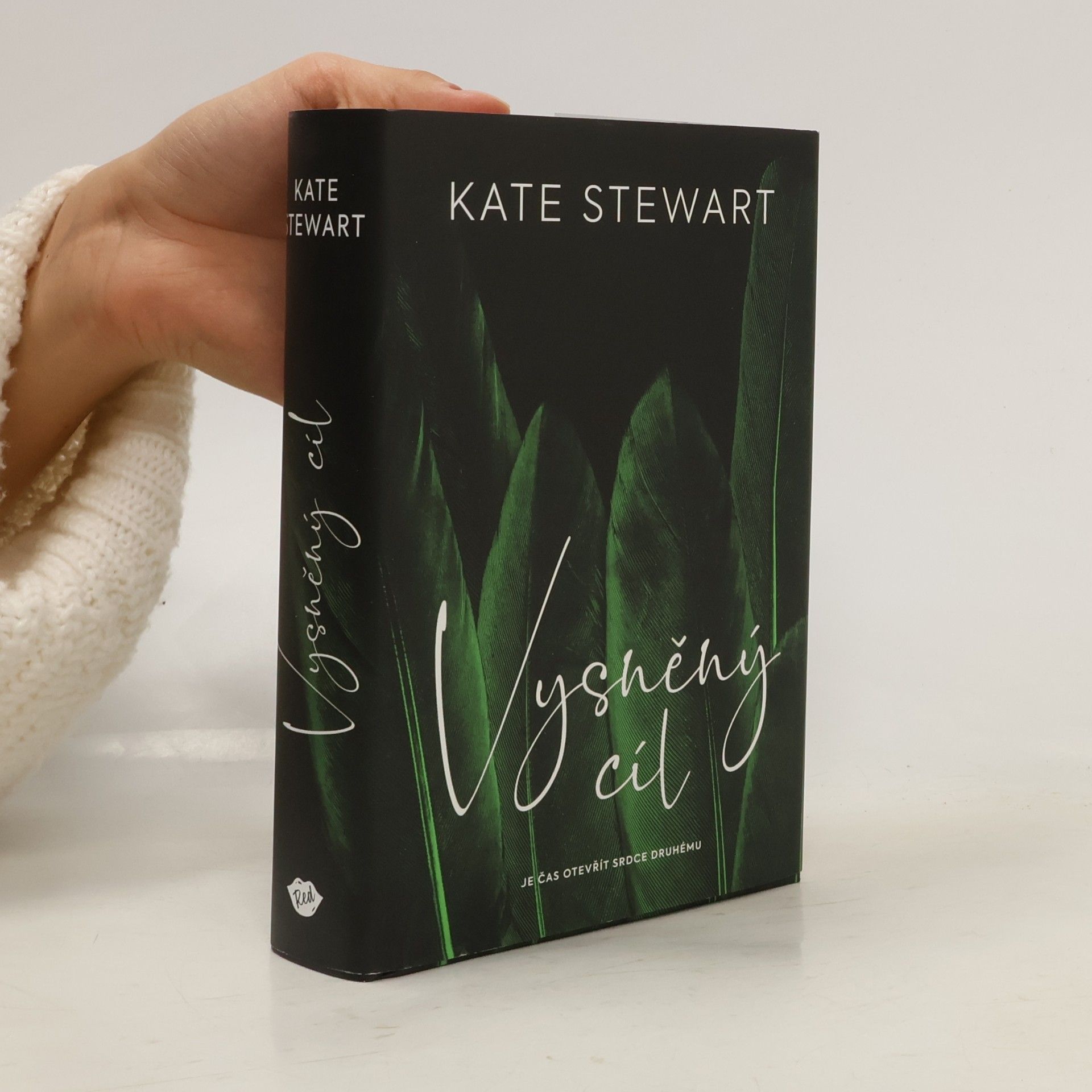 Kate Stewart Vysněný cíl. Kniha třetí