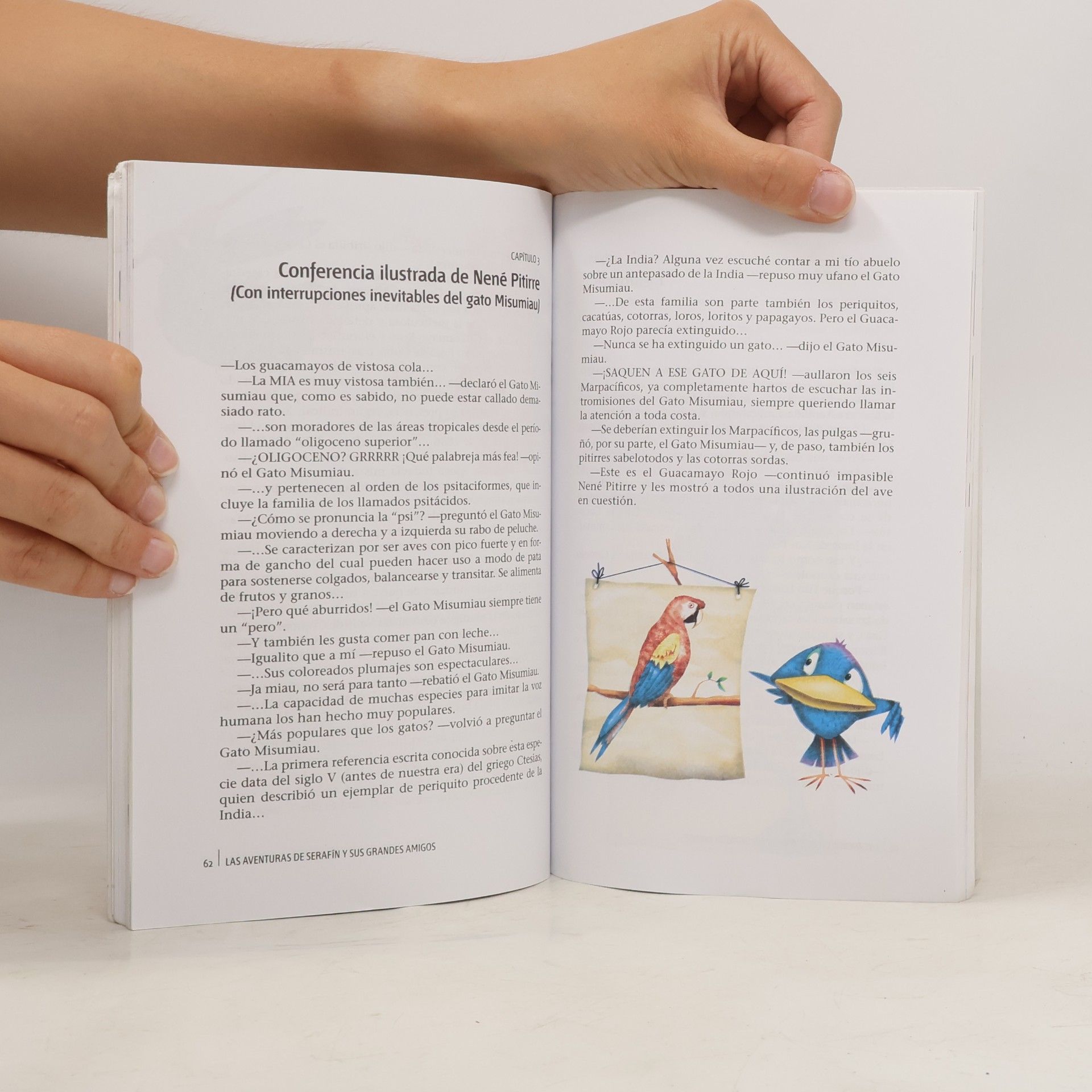 Mirta Yáñez Las aventuras de Serafín y sus grandes amigos