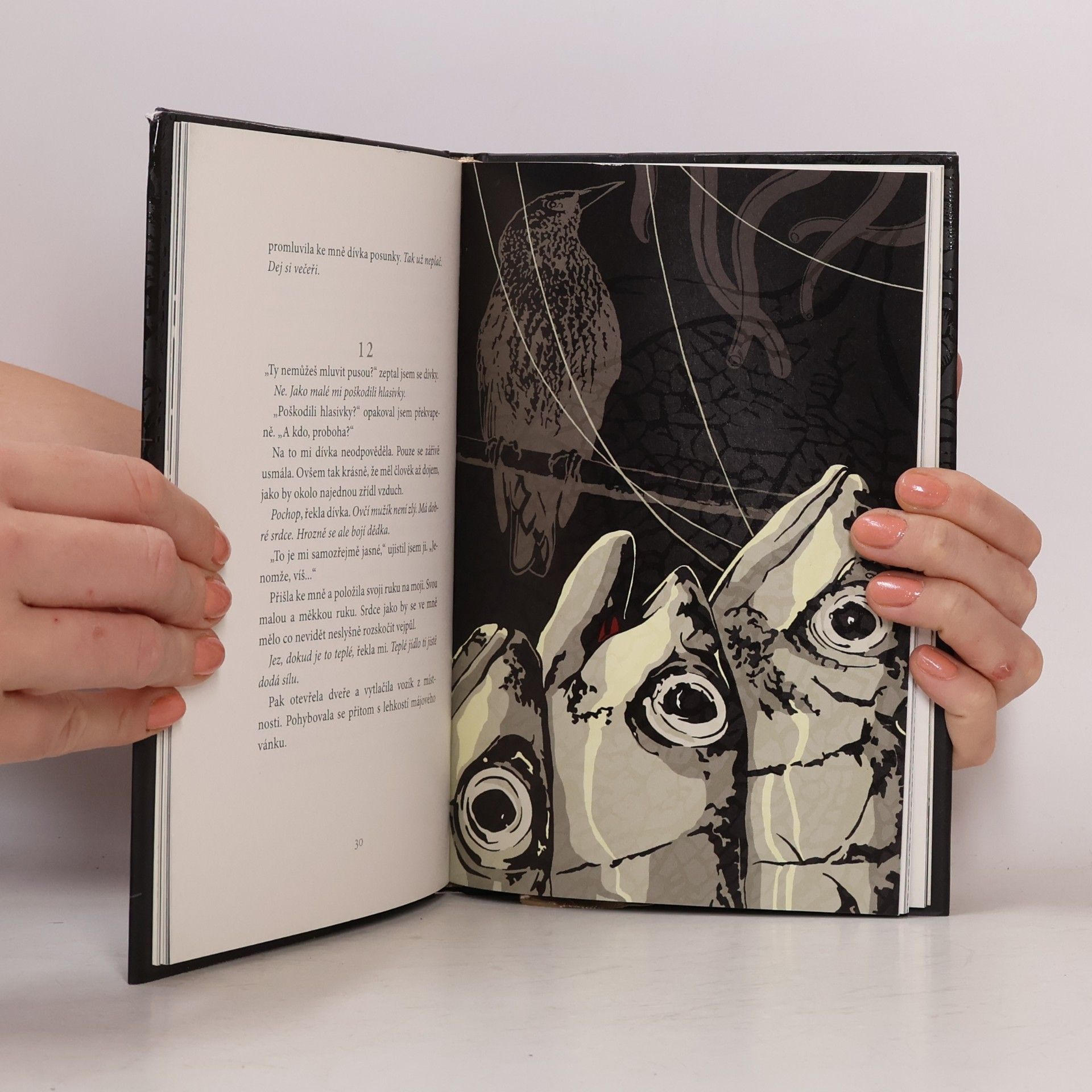 Haruki Murakami Podivná knihovna