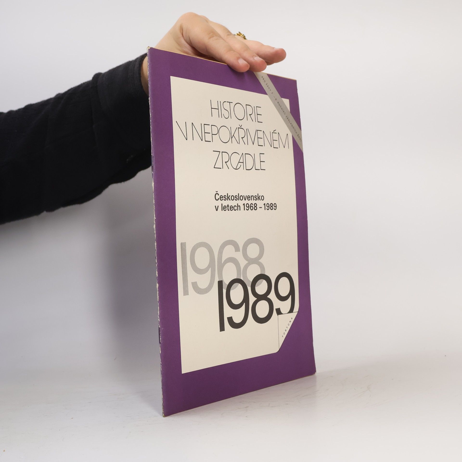 Autorenkollektiv Historie v nepokřiveném zrcadle. Československo v letech 1968-1989